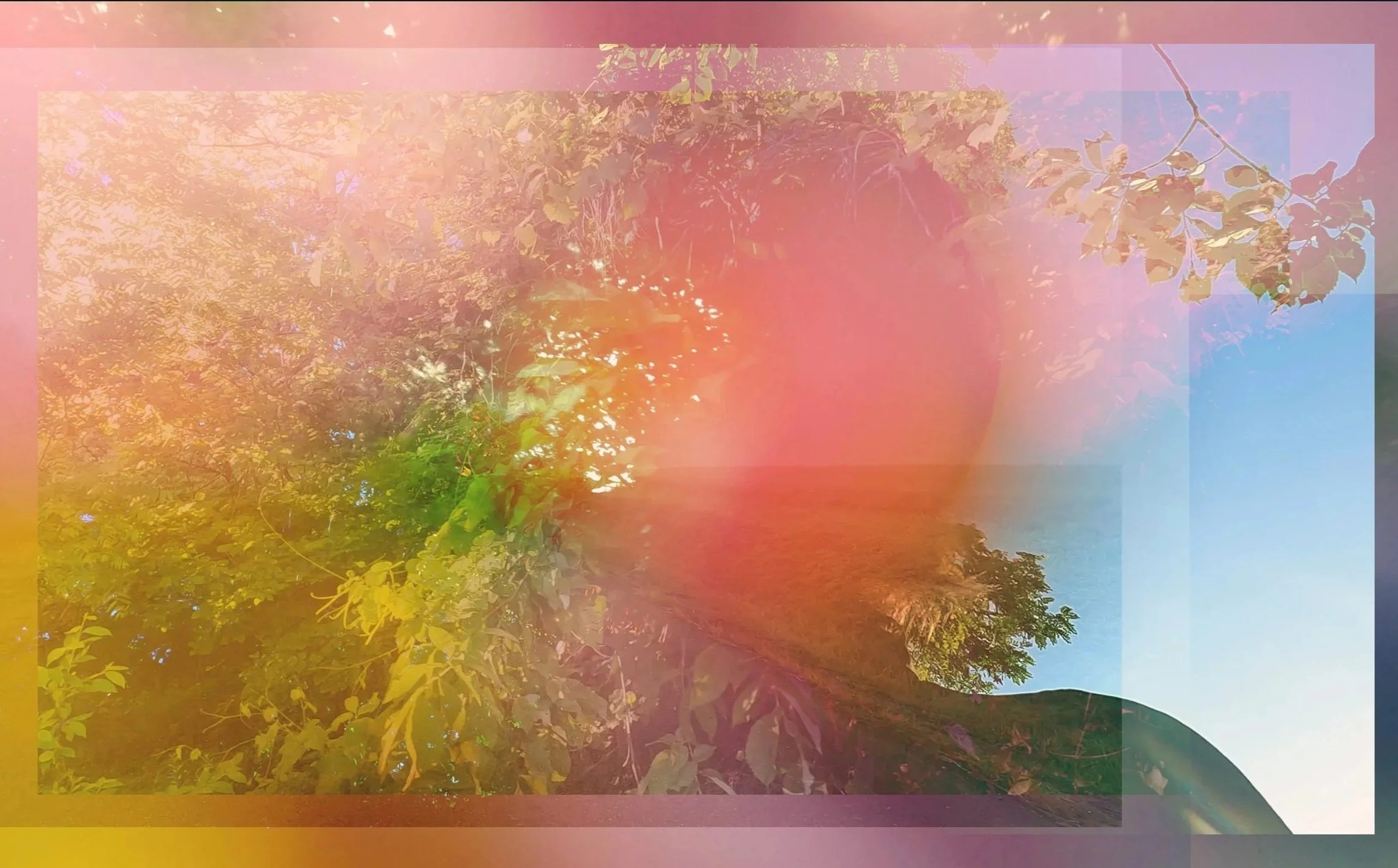 Still Image from Becoming World, 2026