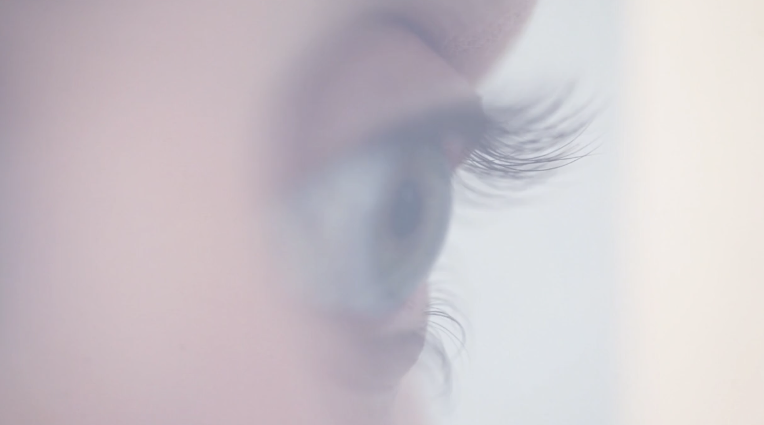 Video: The Language of Our Making, 2015