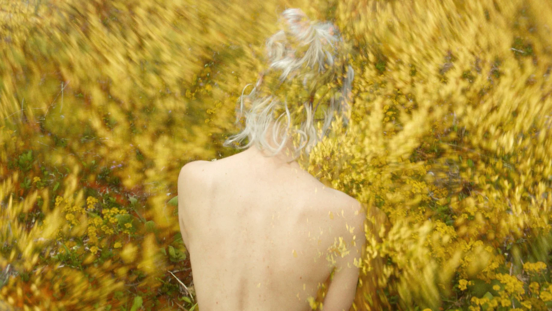 Still Image from Experiments in Entanglement, 2024