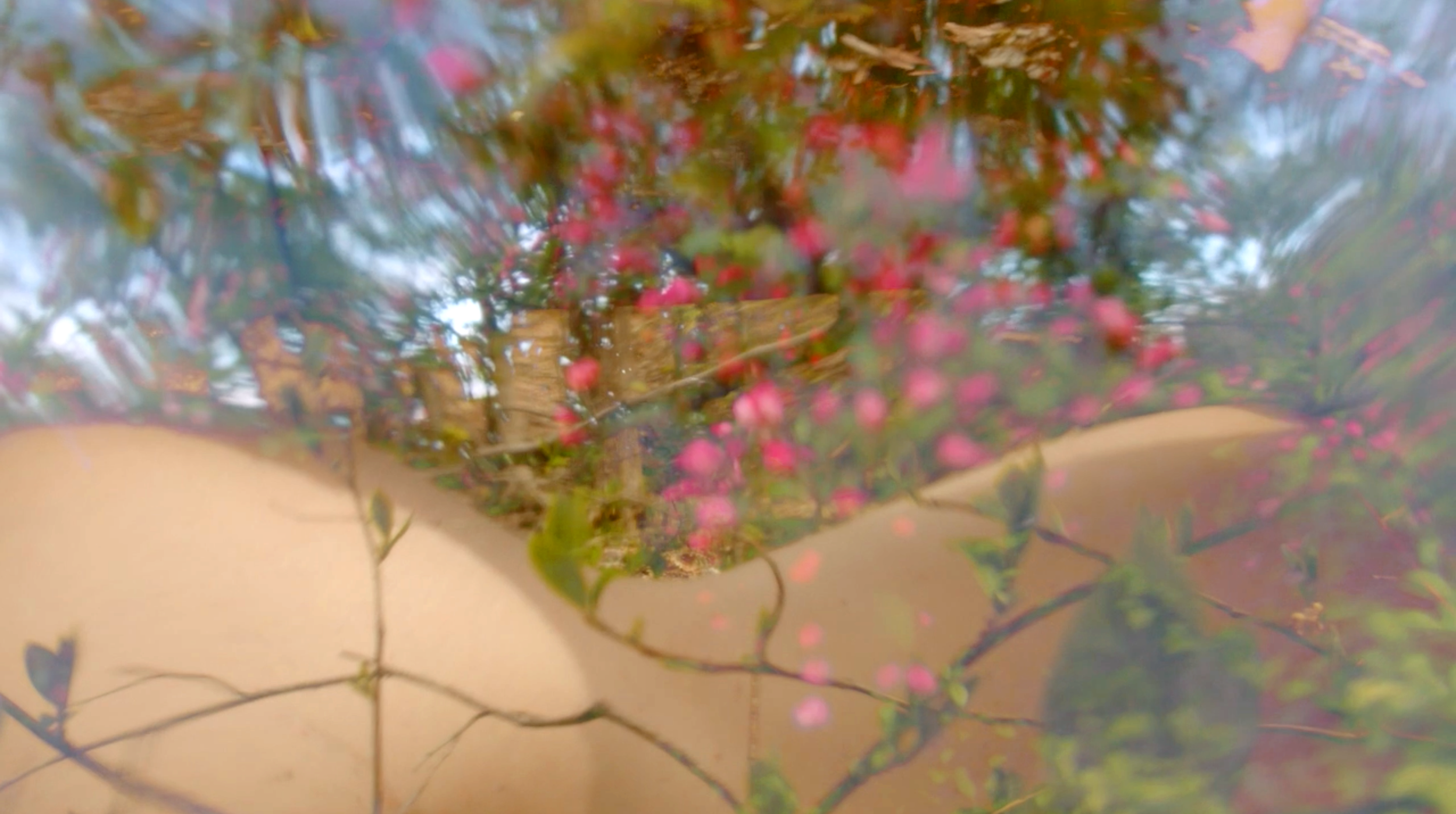 Still Image from Experiments in Entanglement, 2024