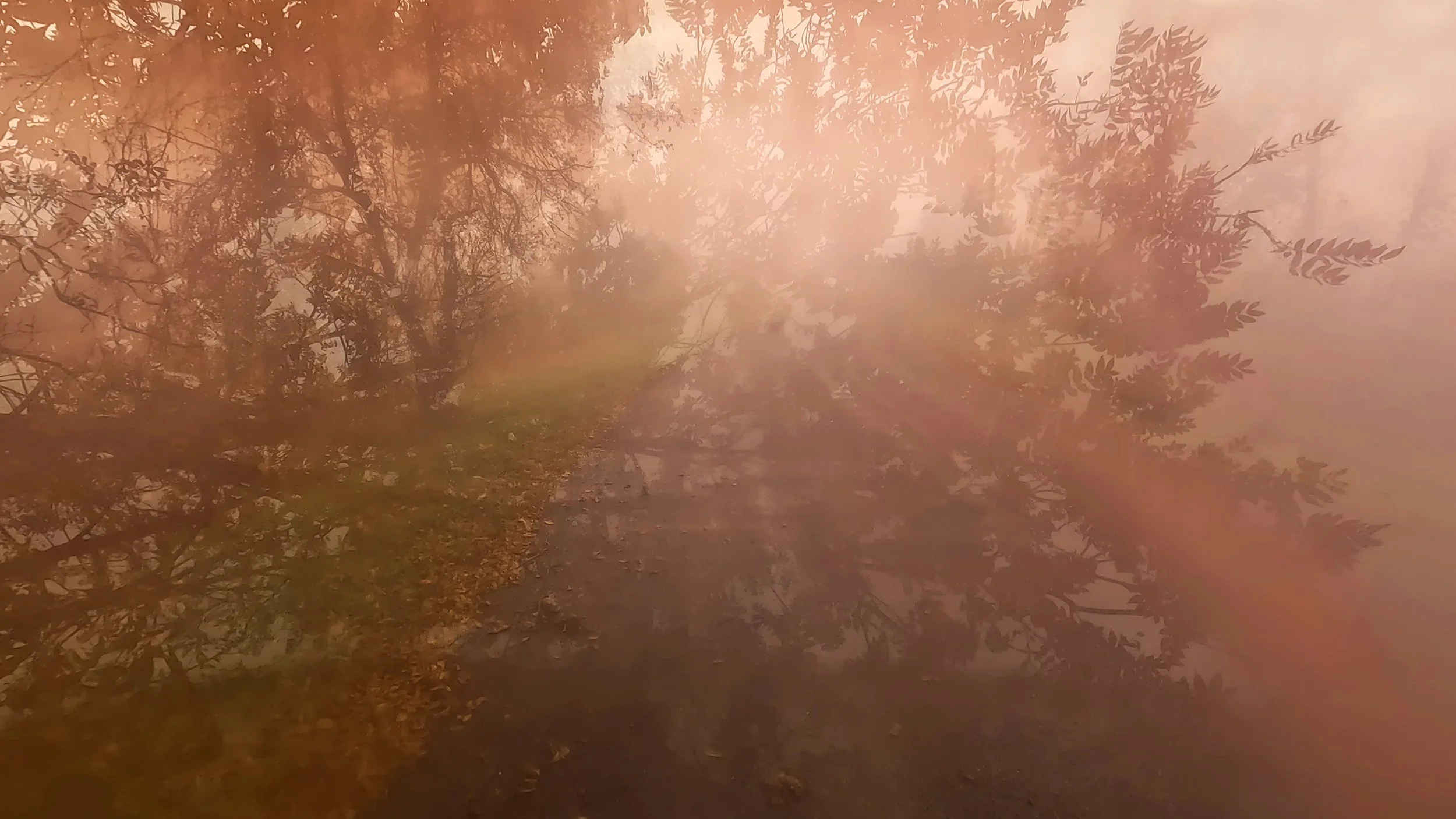 Still Image from Becoming World, 2026