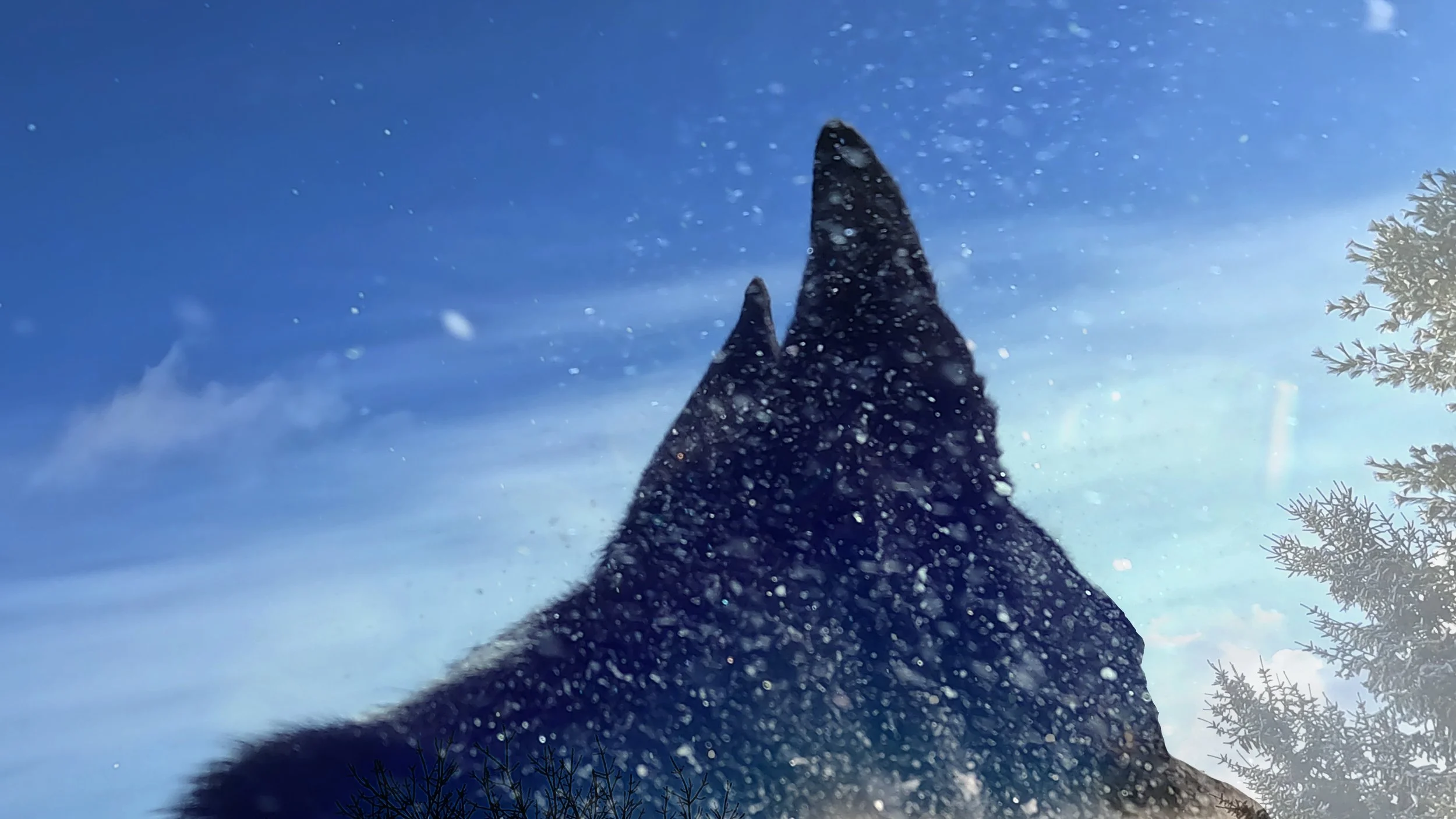 Still Image from Becoming World, 2026