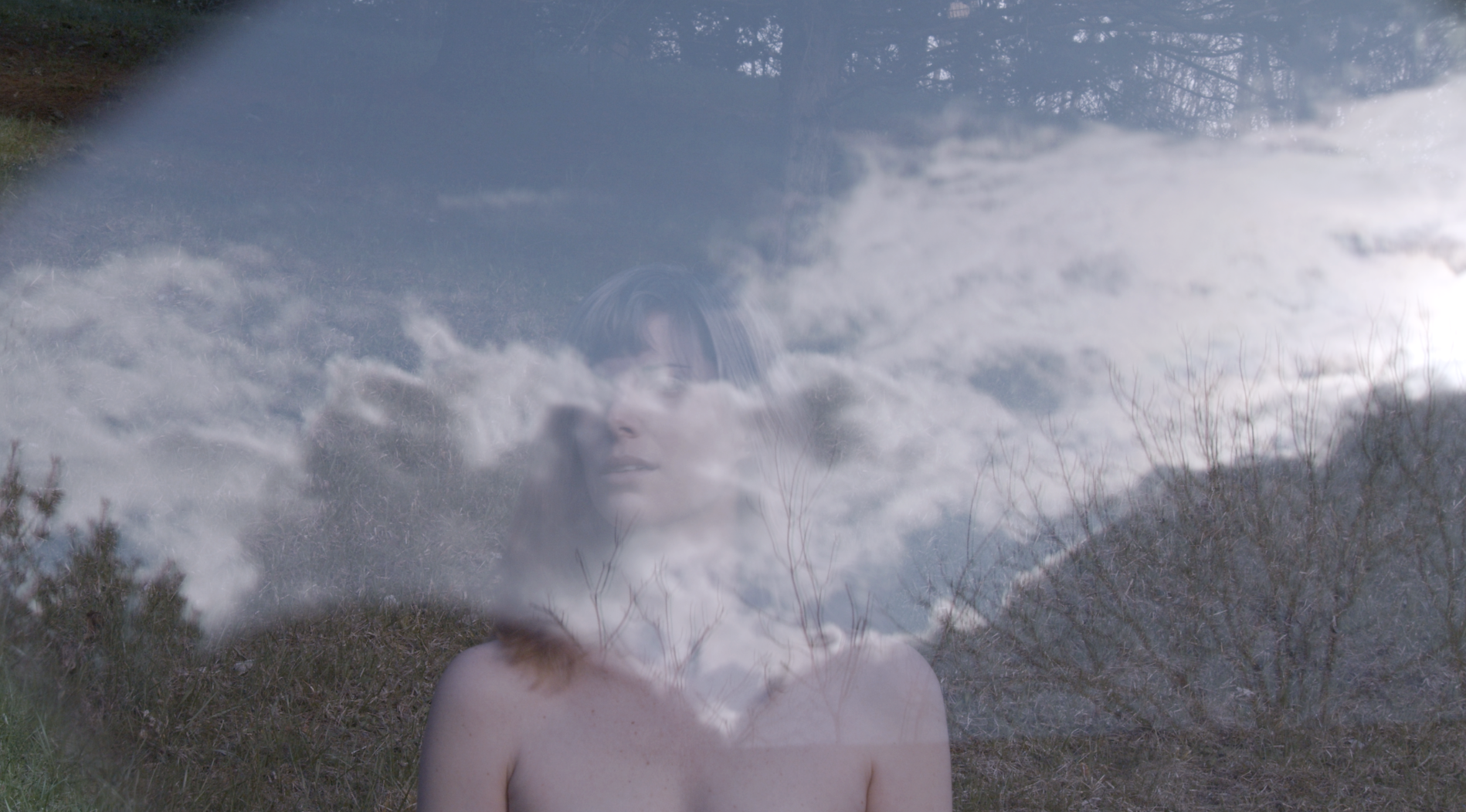 Still Image from Experiments in Entanglement, 2024