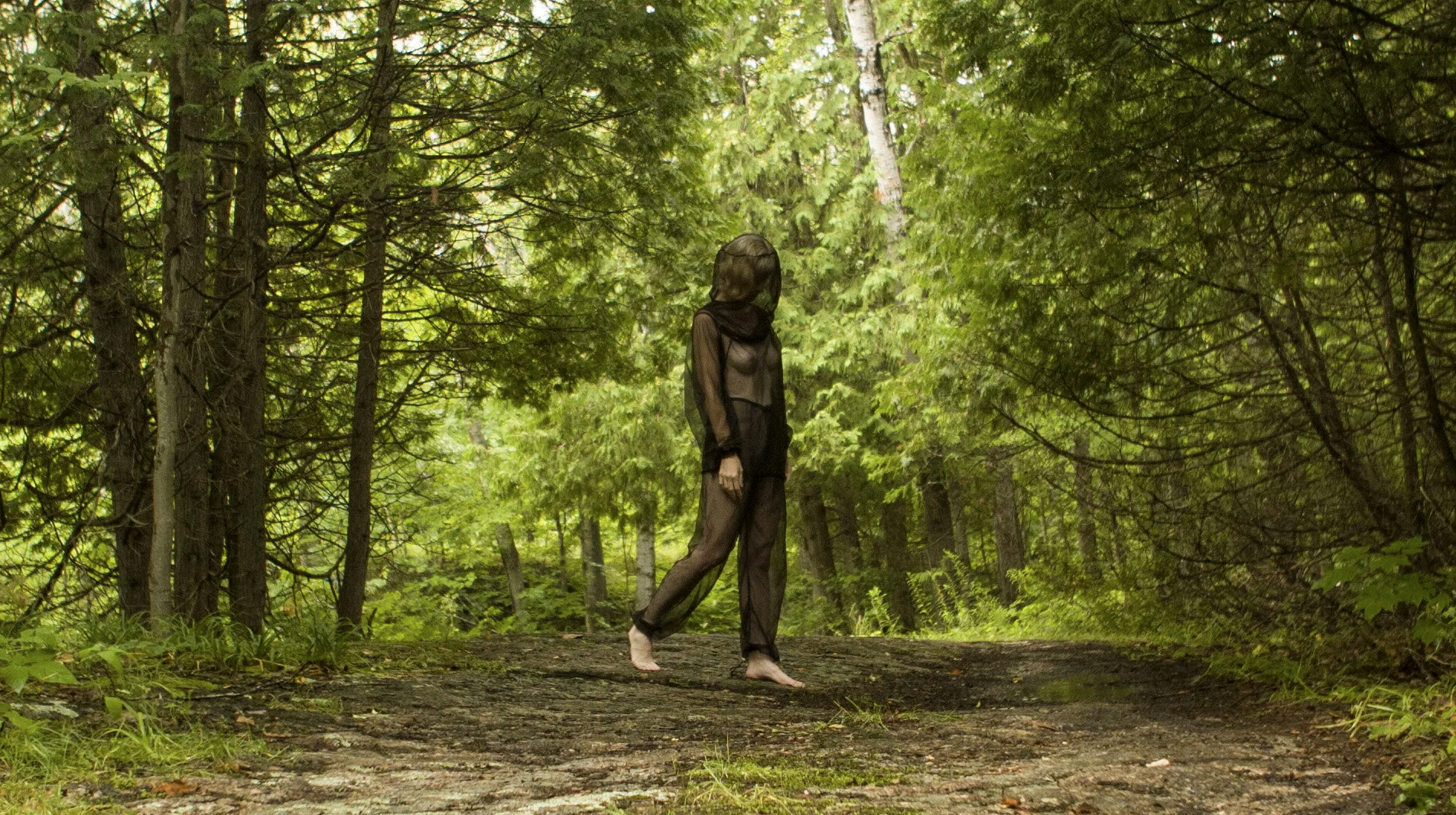 Still Image from Imprint, 2018