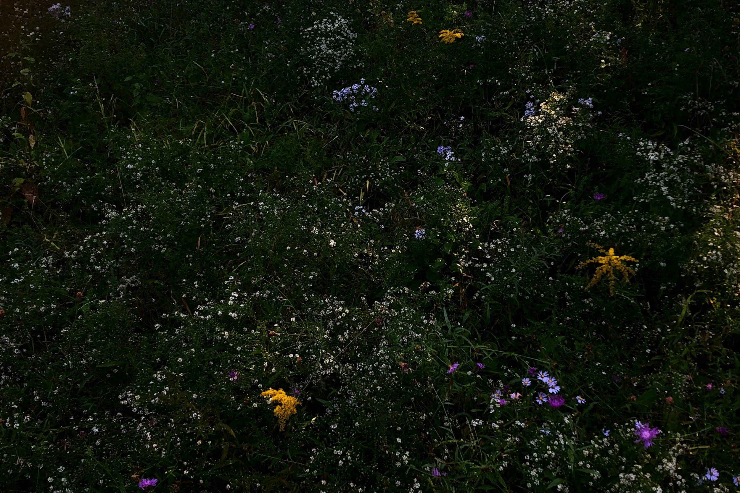 Still Image from Becoming World, 2026