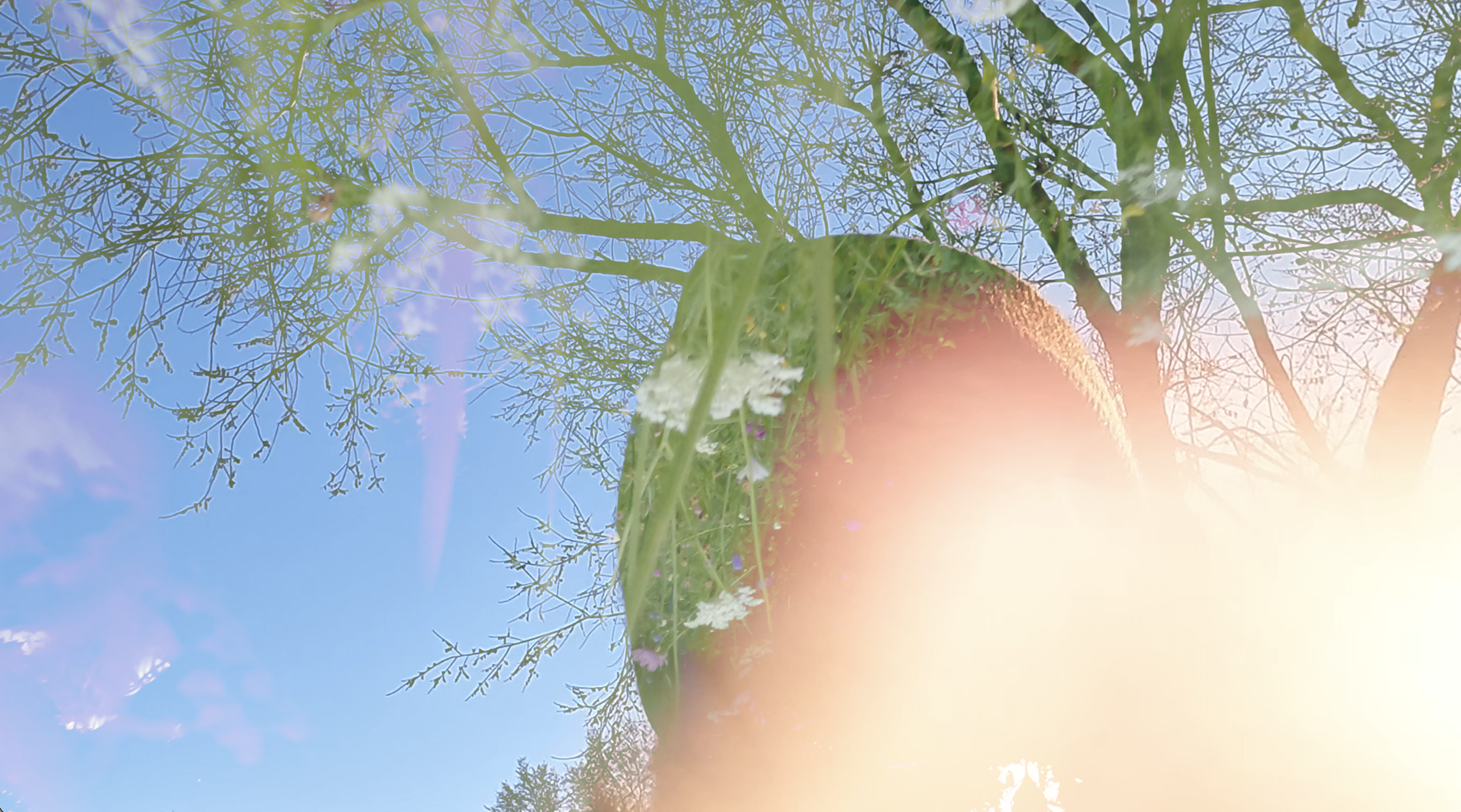 Screenshot 2026-02-01 at 12.04.38 PM.png