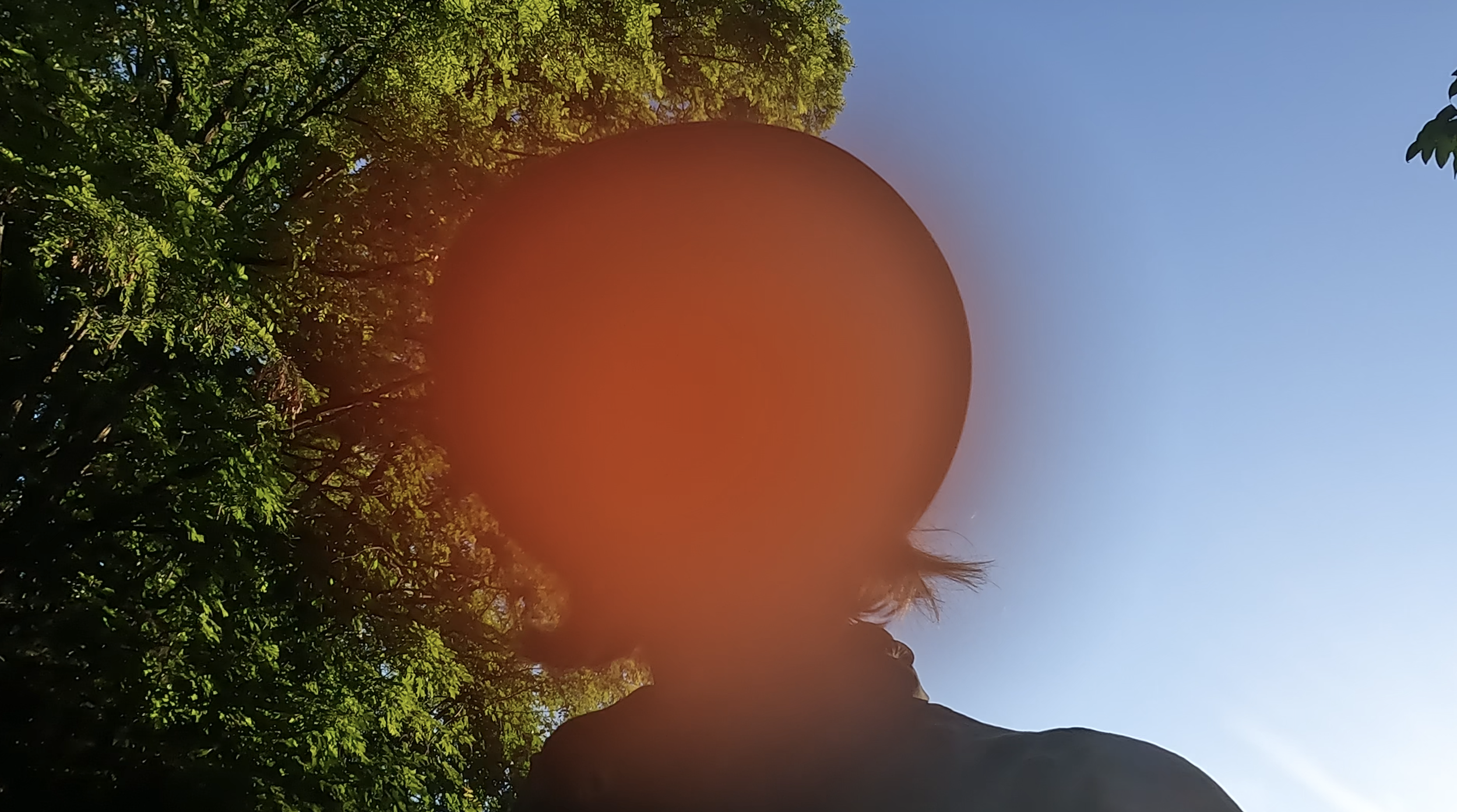 Screenshot 2026-02-01 at 12.06.45 PM.png