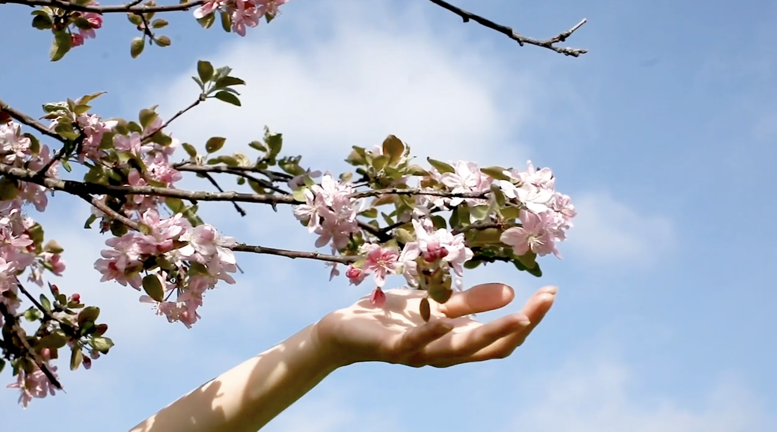 Screenshot 2026-02-01 at 11.54.23 AM.png