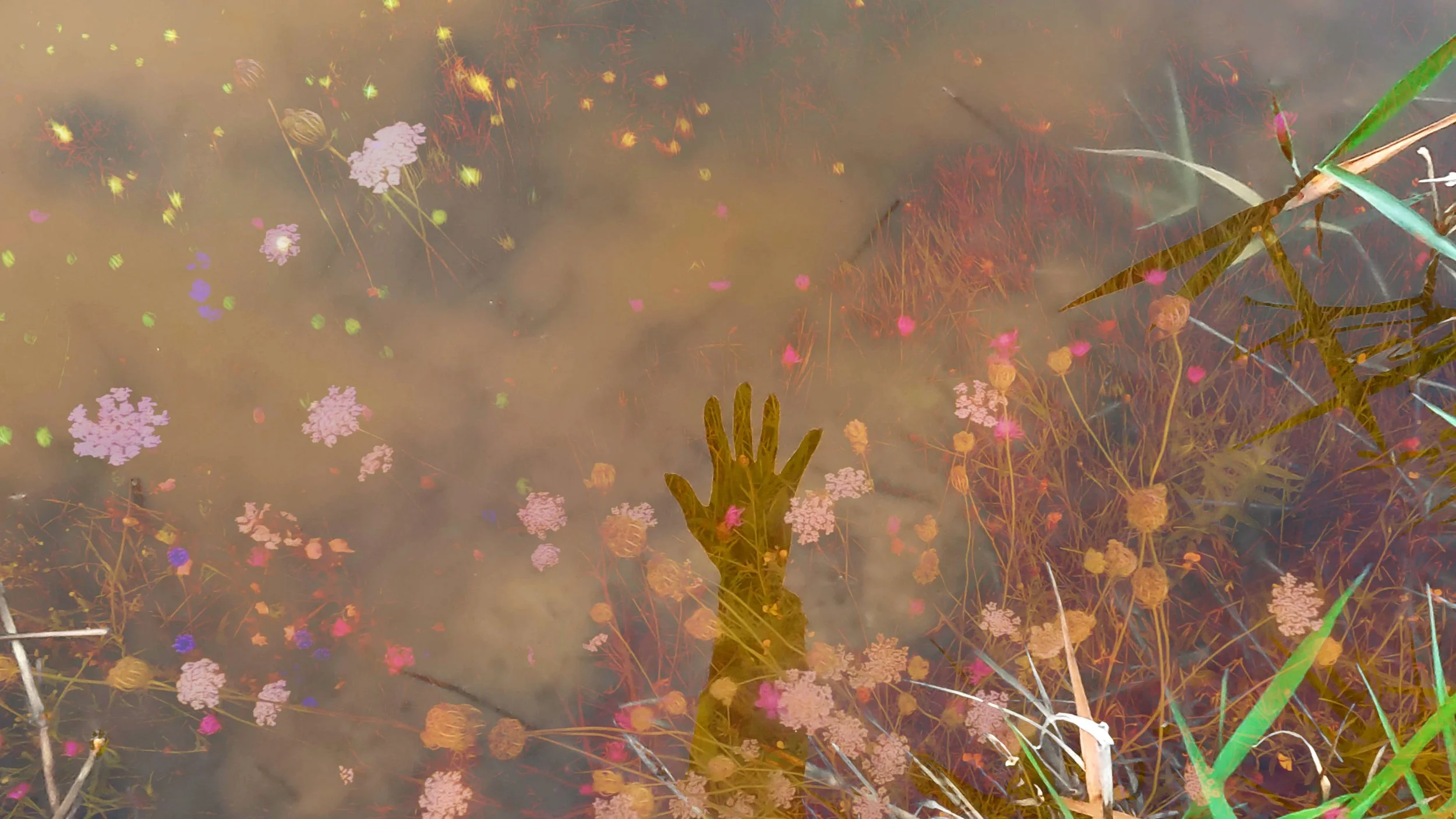 Vignettes.00_03_30_16.Still010 copy.jpg