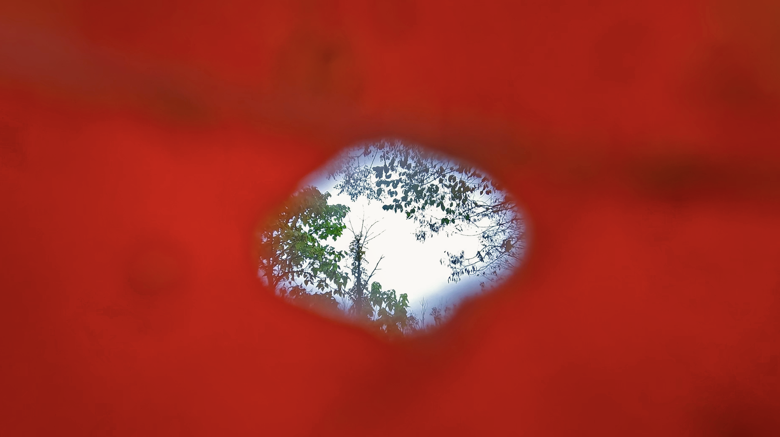 Screenshot 2024-09-13 at 5.39.57 PM.png