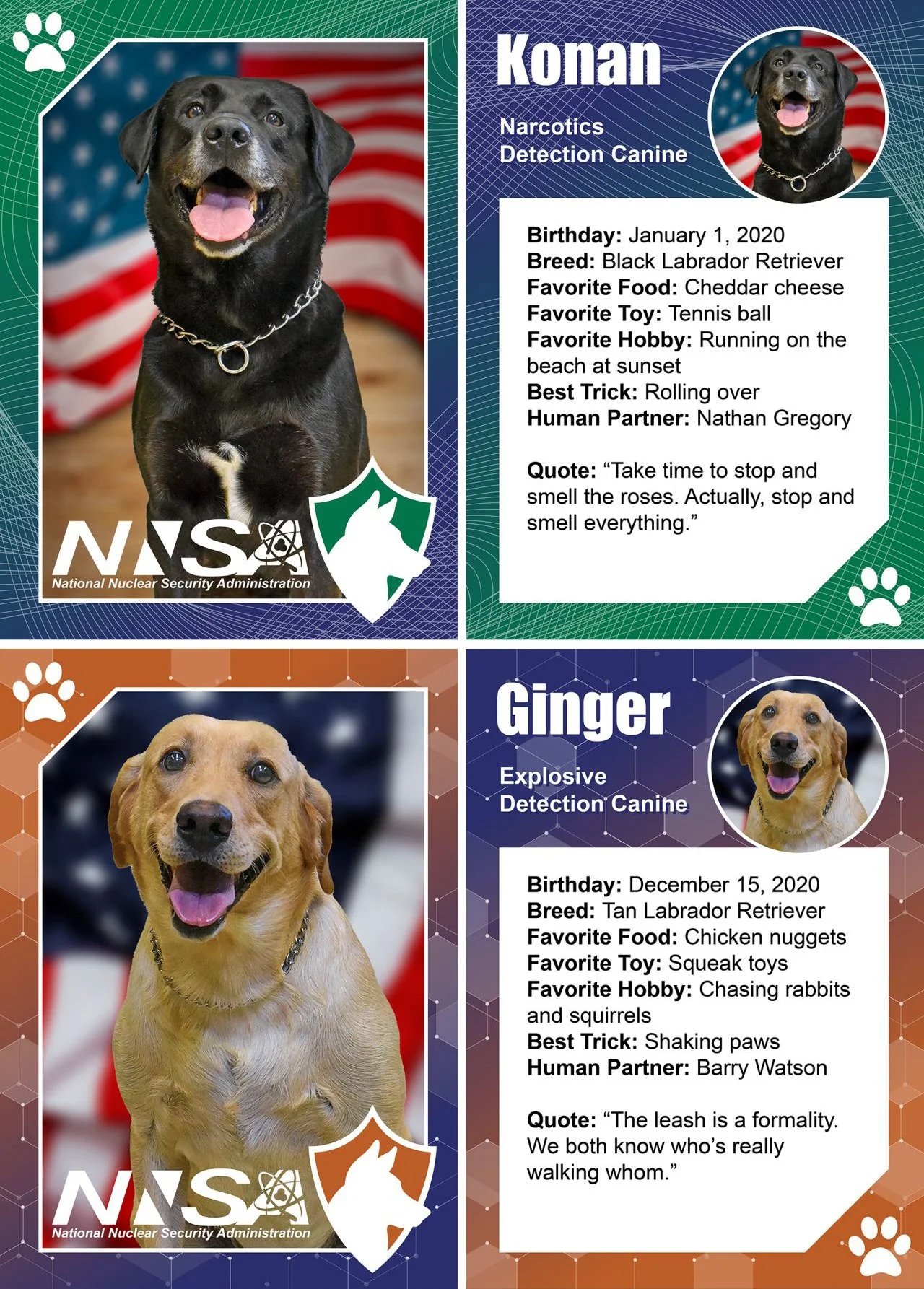 National Dog Day trading cards