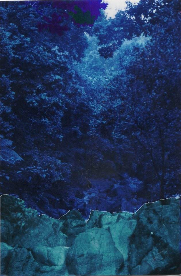 blue forest.jpg