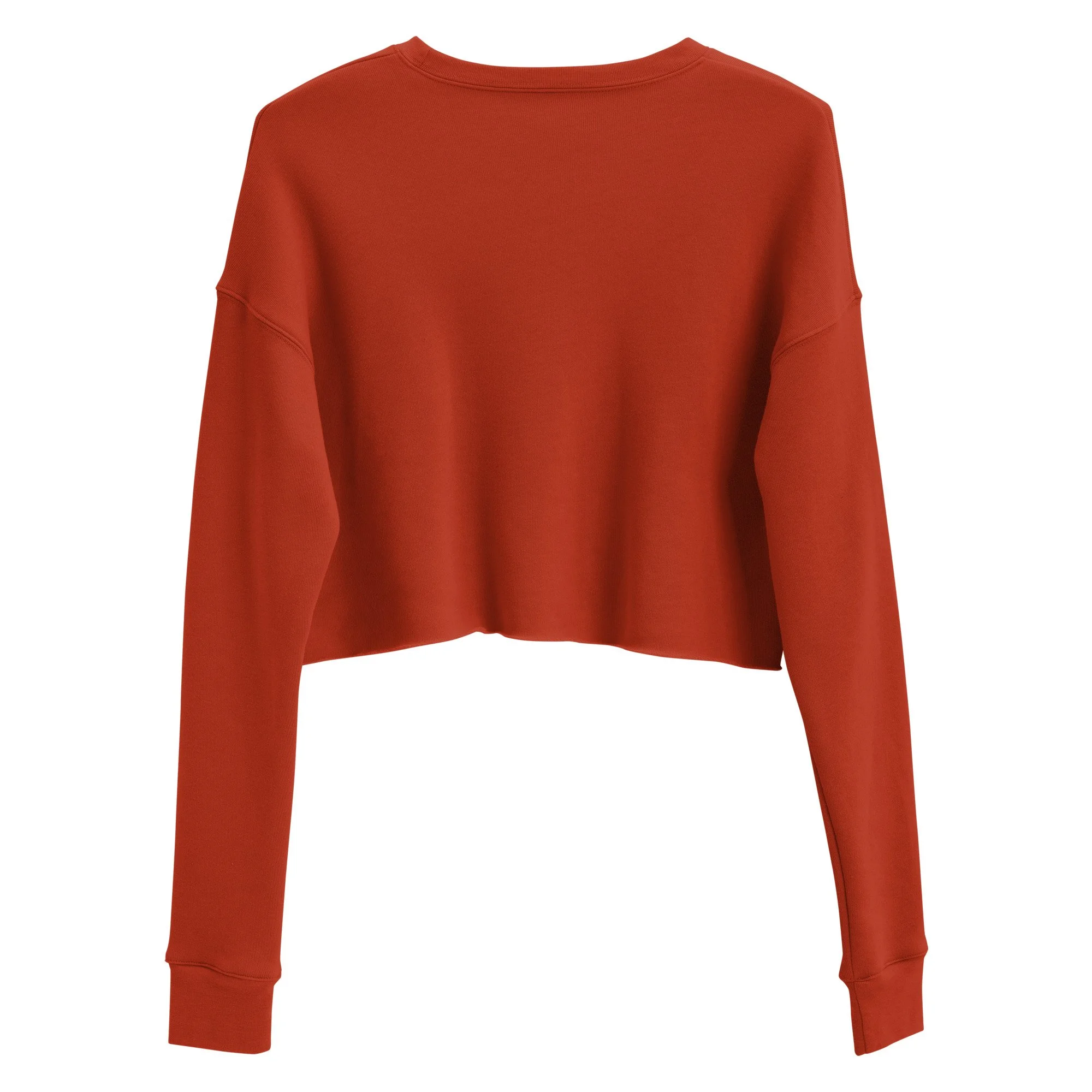 womens-cropped-sweatshirt-brick-back-6754be05acab8.jpg