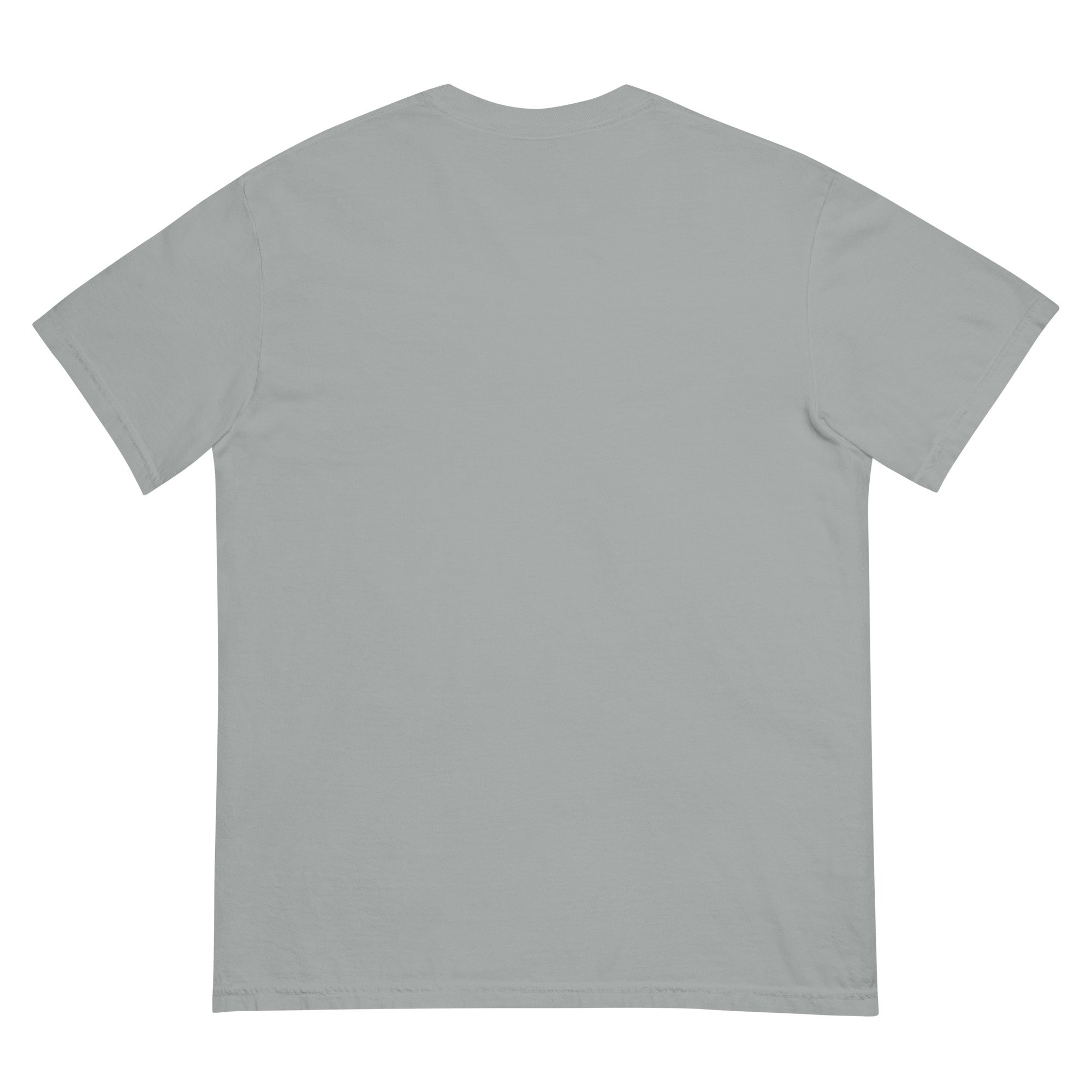 unisex-garment-dyed-heavyweight-t-shirt-granite-back-6754c310b2025.jpg