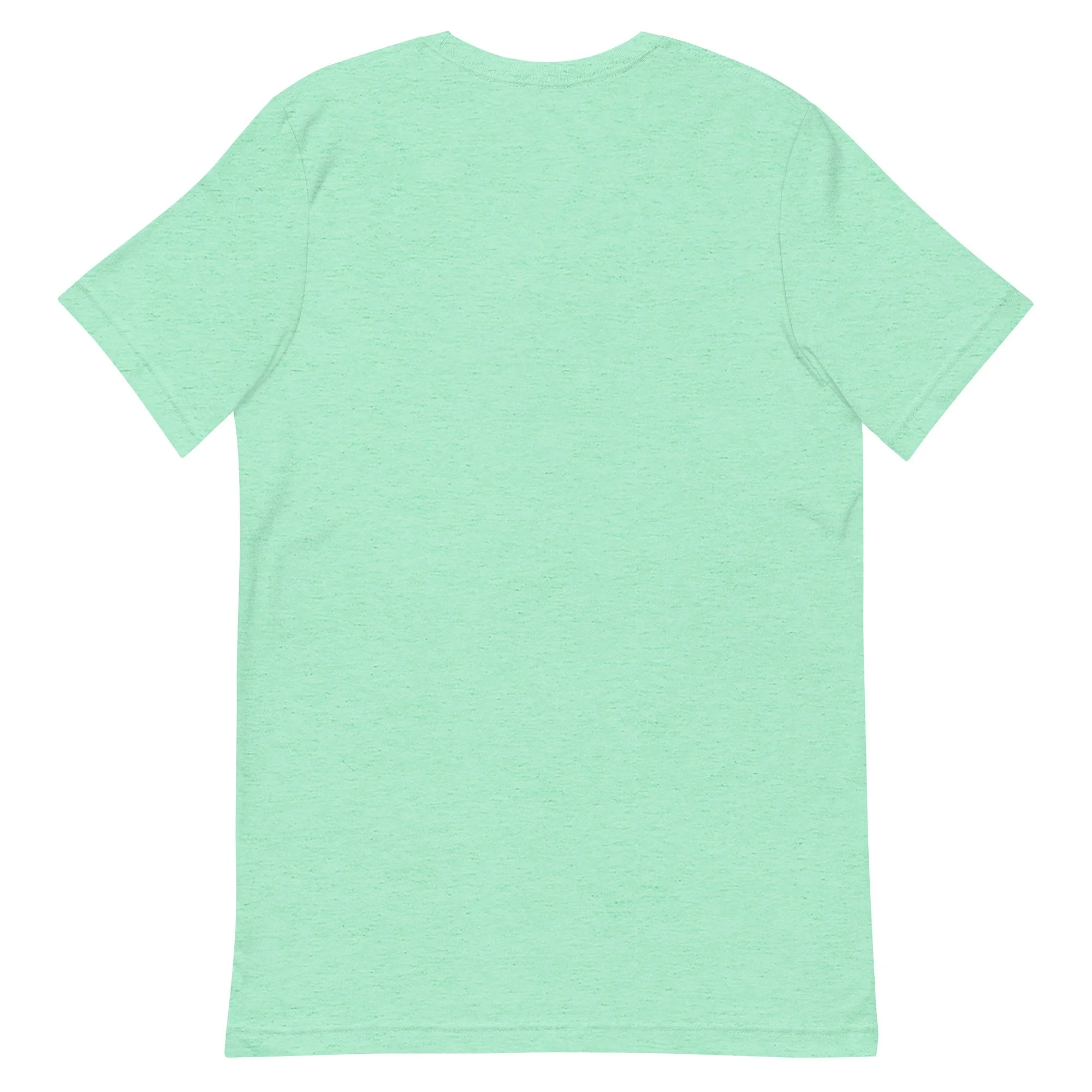 unisex-staple-t-shirt-heather-mint-back-6754d1811a559.jpg