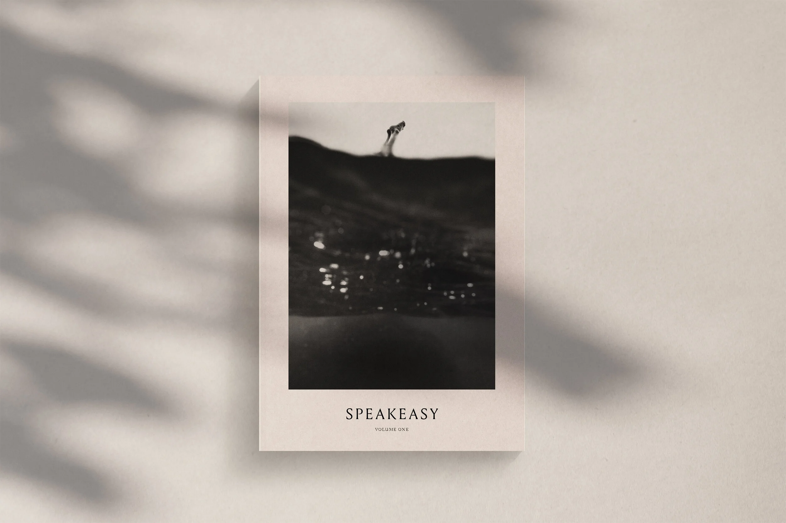 SpeakEasy_Spread_Layouts_Cover.jpg