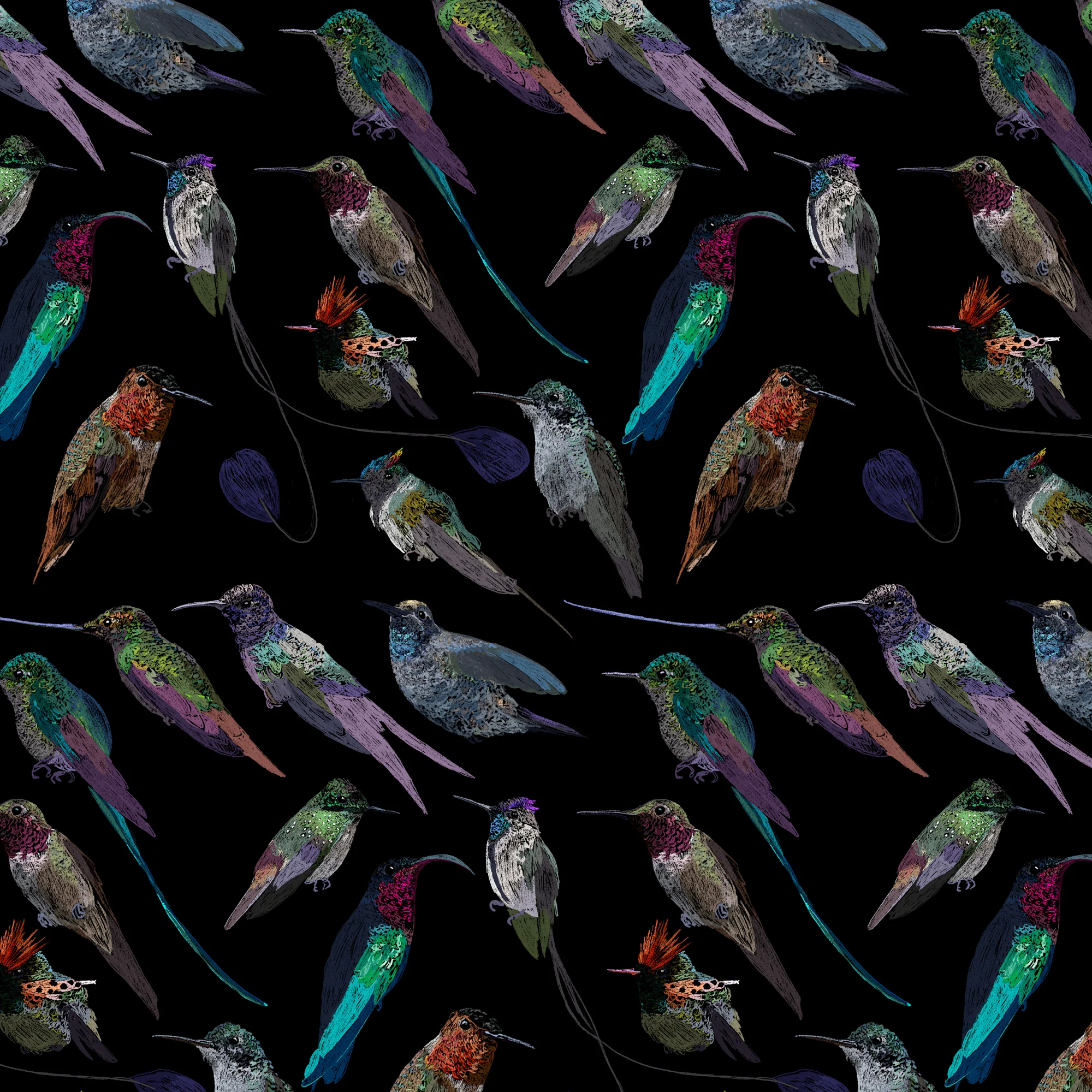 HUMMINGBIRDS