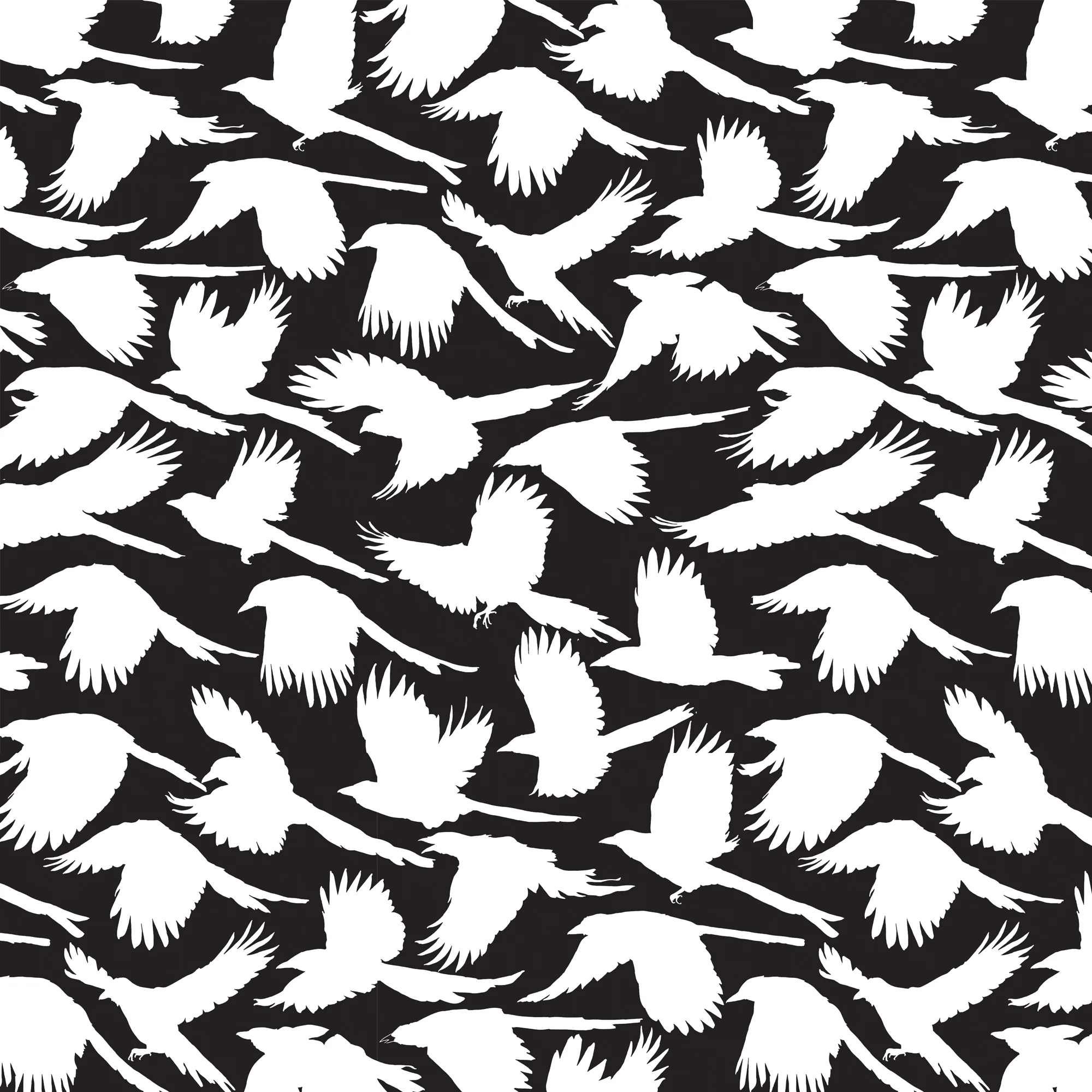 MAGPIE II