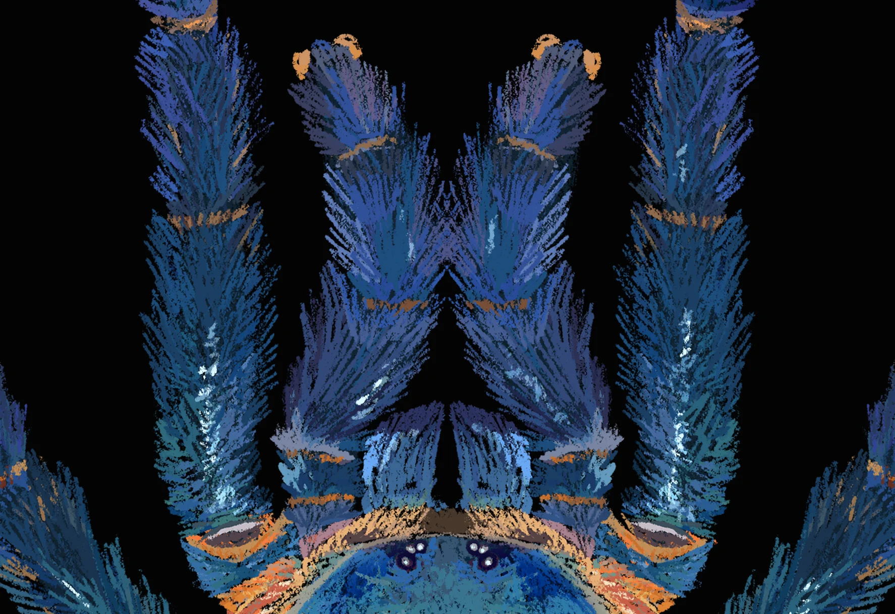 BANNER.jpg