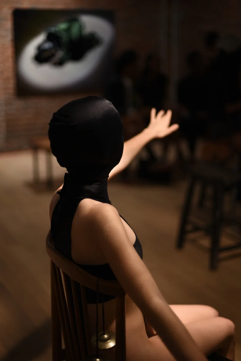 Gender Execution - Jennifer Elster The Retrospective of an Extroverted Recluse