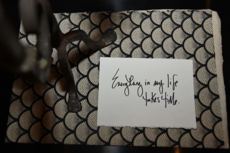 Everything in My Life Takes Time by Jennifer Elster The Retrospective of an Extroverted Recluse