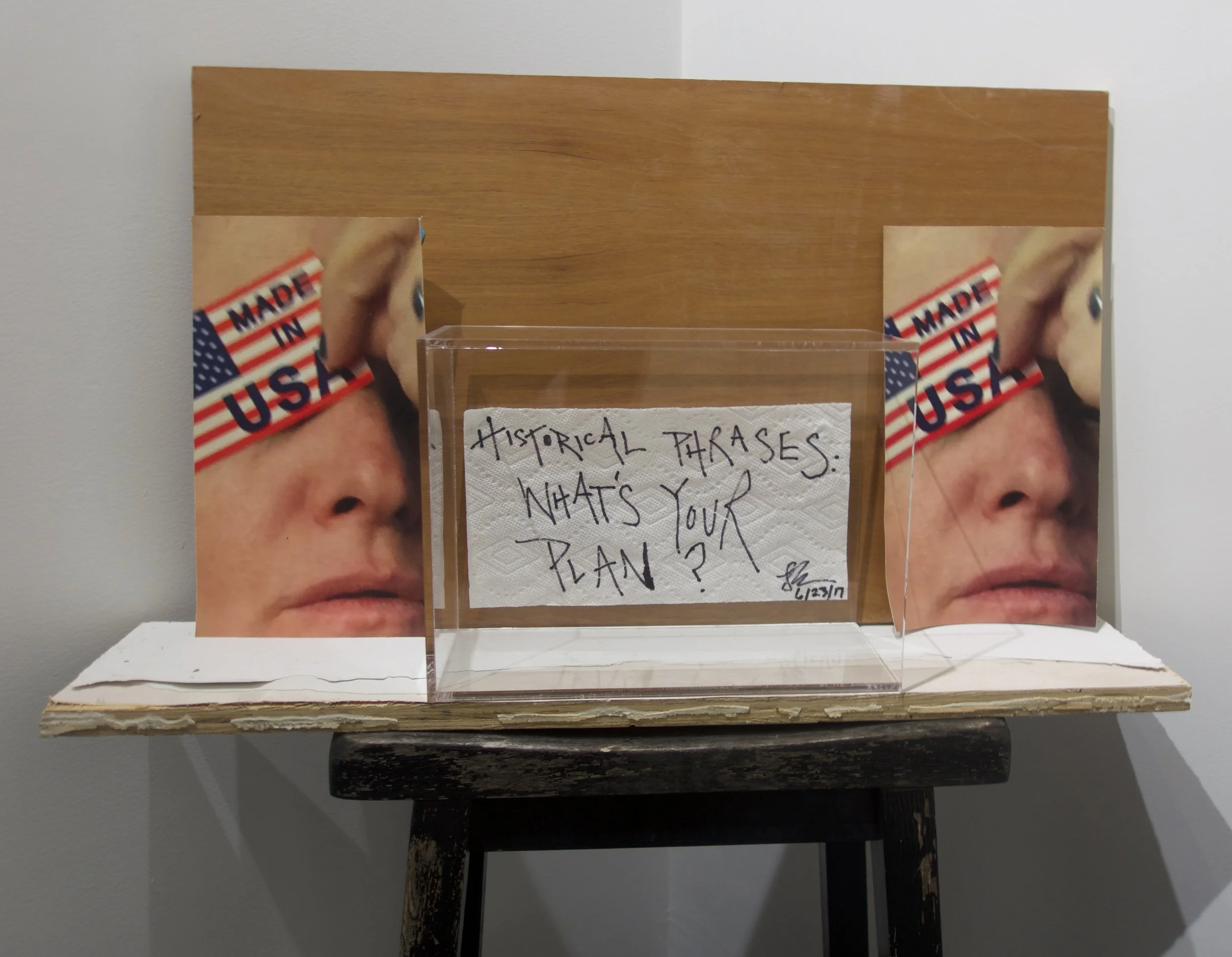 Protect Our Freedom , 2017 Digital print on canvas, pen on paper, plexiglass cube 26 x 12 x 6.3 in (66 x 30.5 x 16 cm)