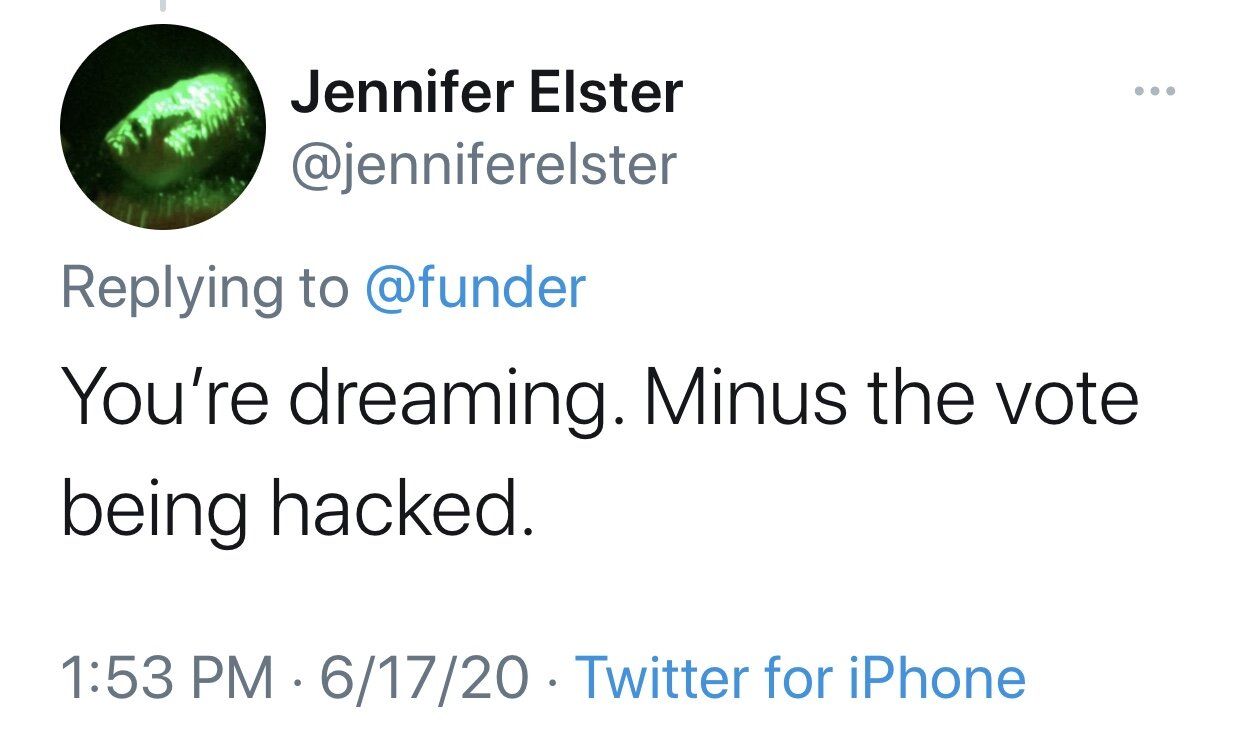 Jennifer Elster_You're Dreaming Minus the Vote being Hacked_#ProtectOurVote2020 Nonpartisan Peace.jpg