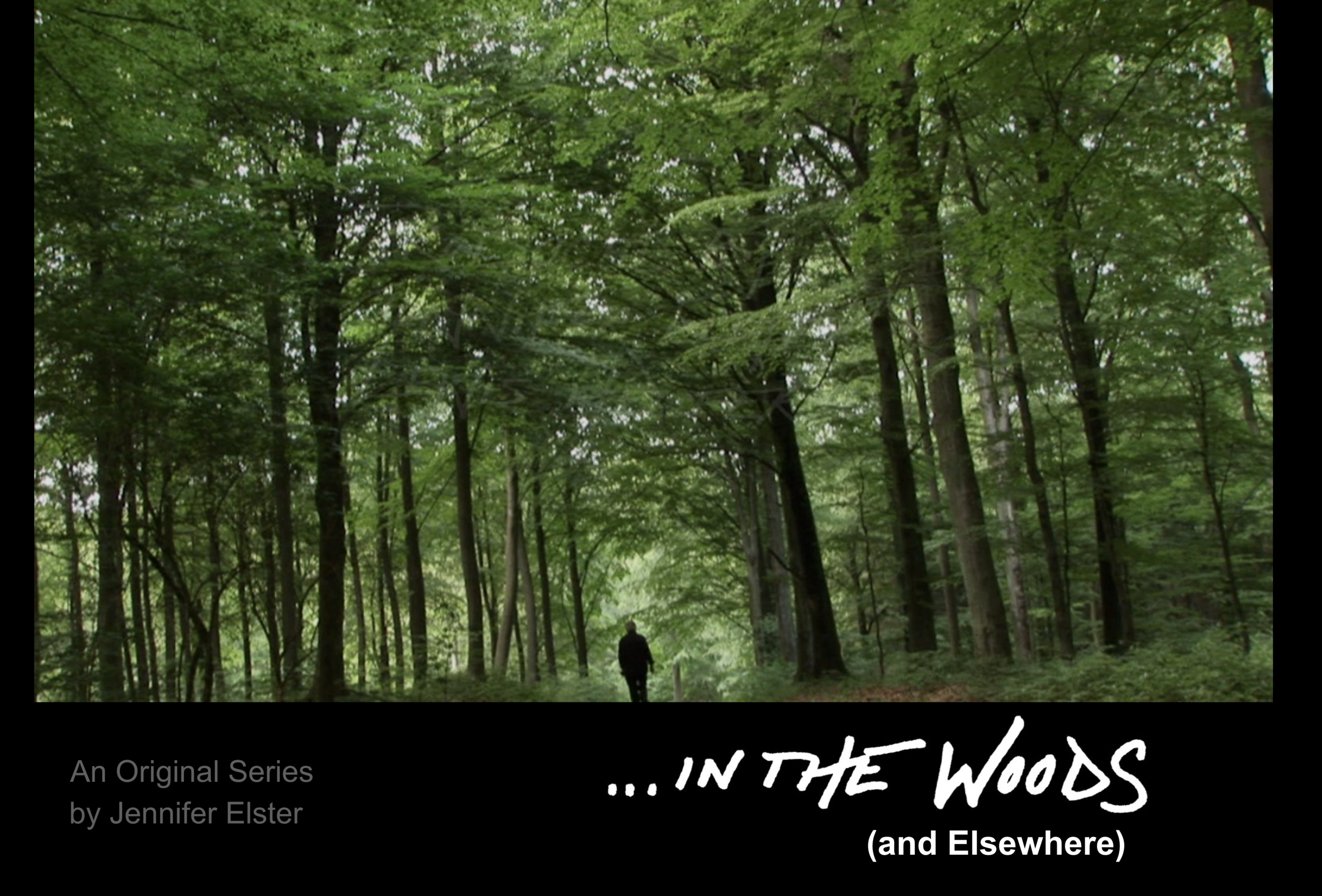 ...Into the Woods and Elsewhere Logo_Jennifer Elster_ChannelELSTER.png