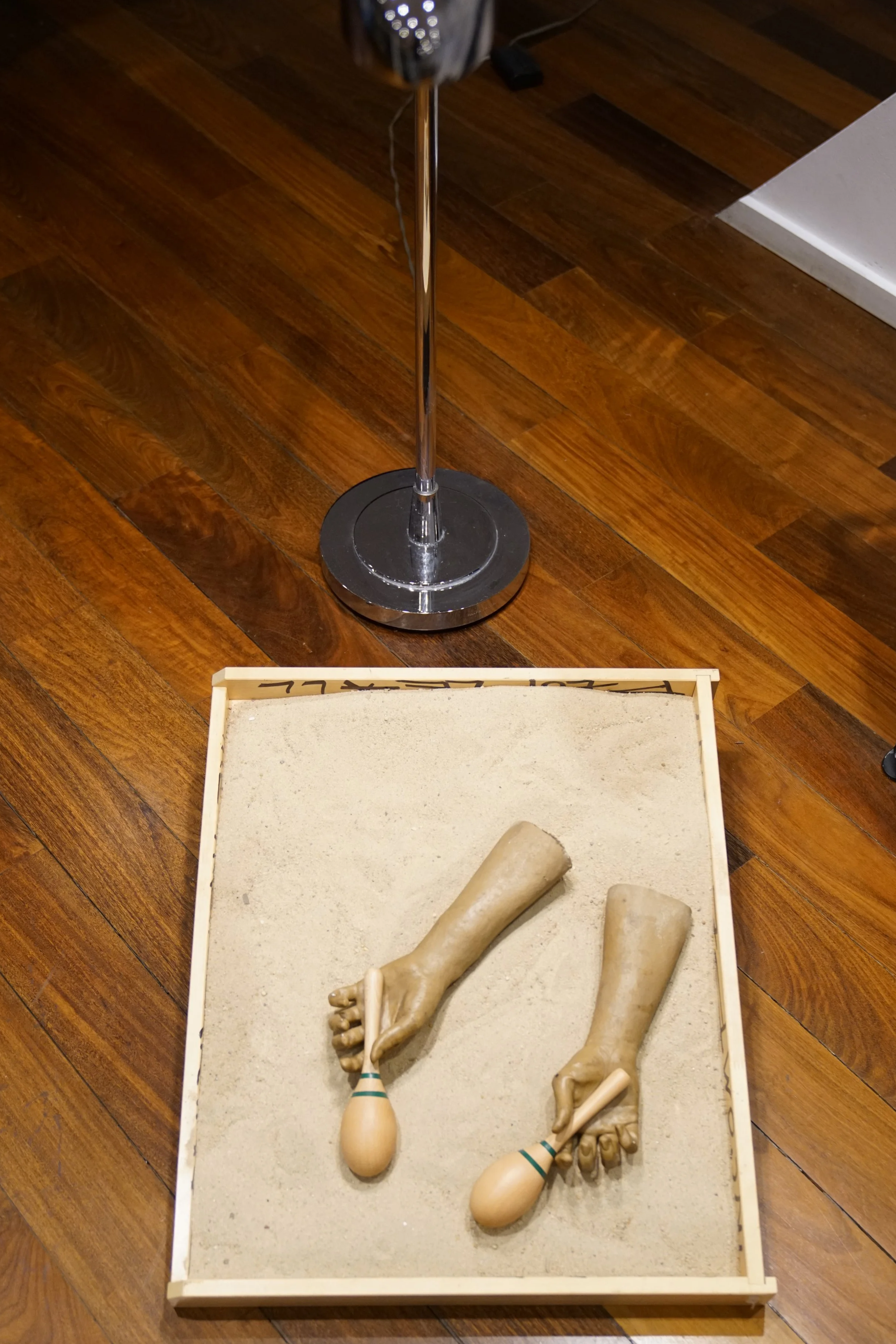 Mental Sovereignty by Jennifer Elster at The Development Gallery