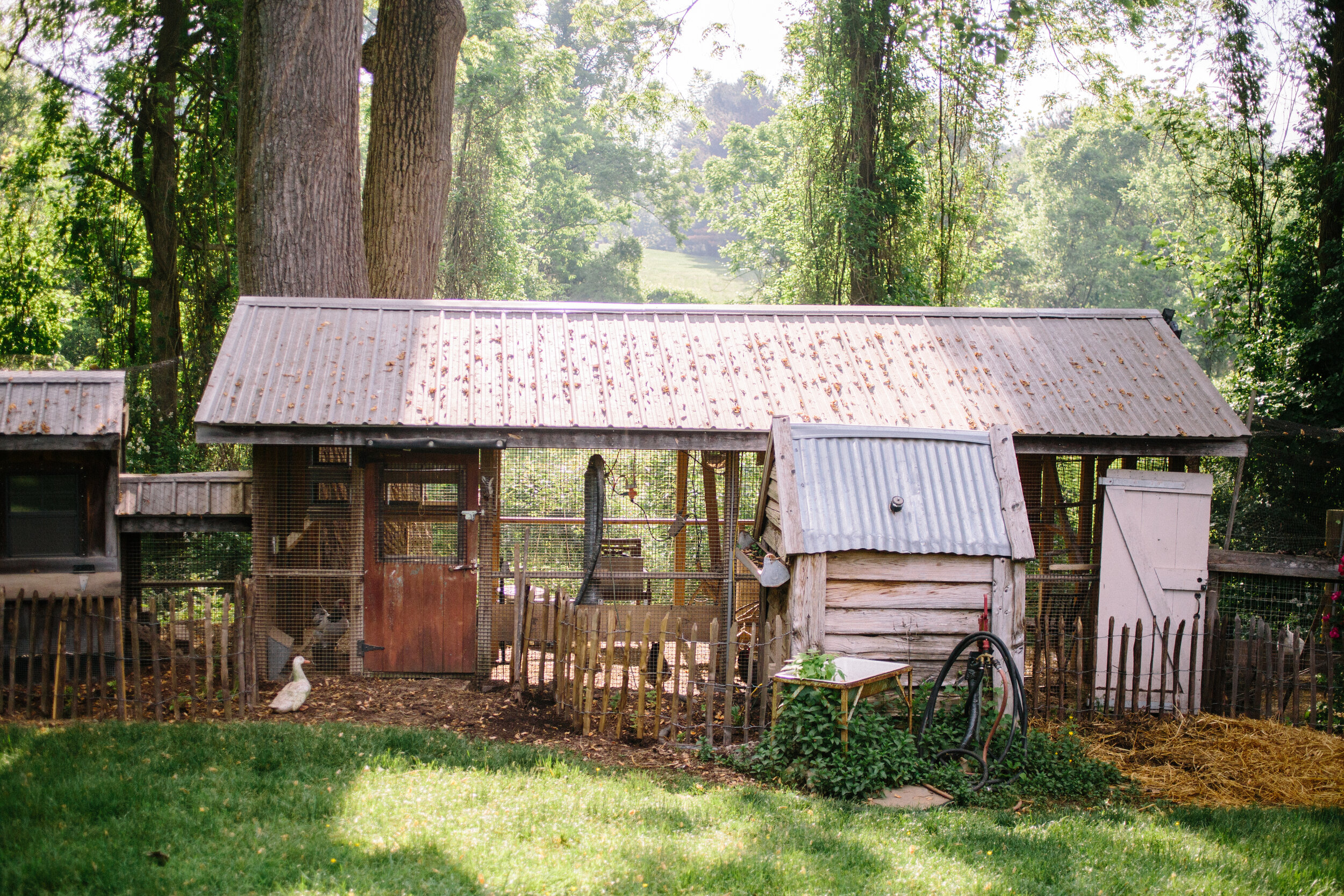 White-Feather-Farm-Farmstead-Photo-Gallery-001.jpg