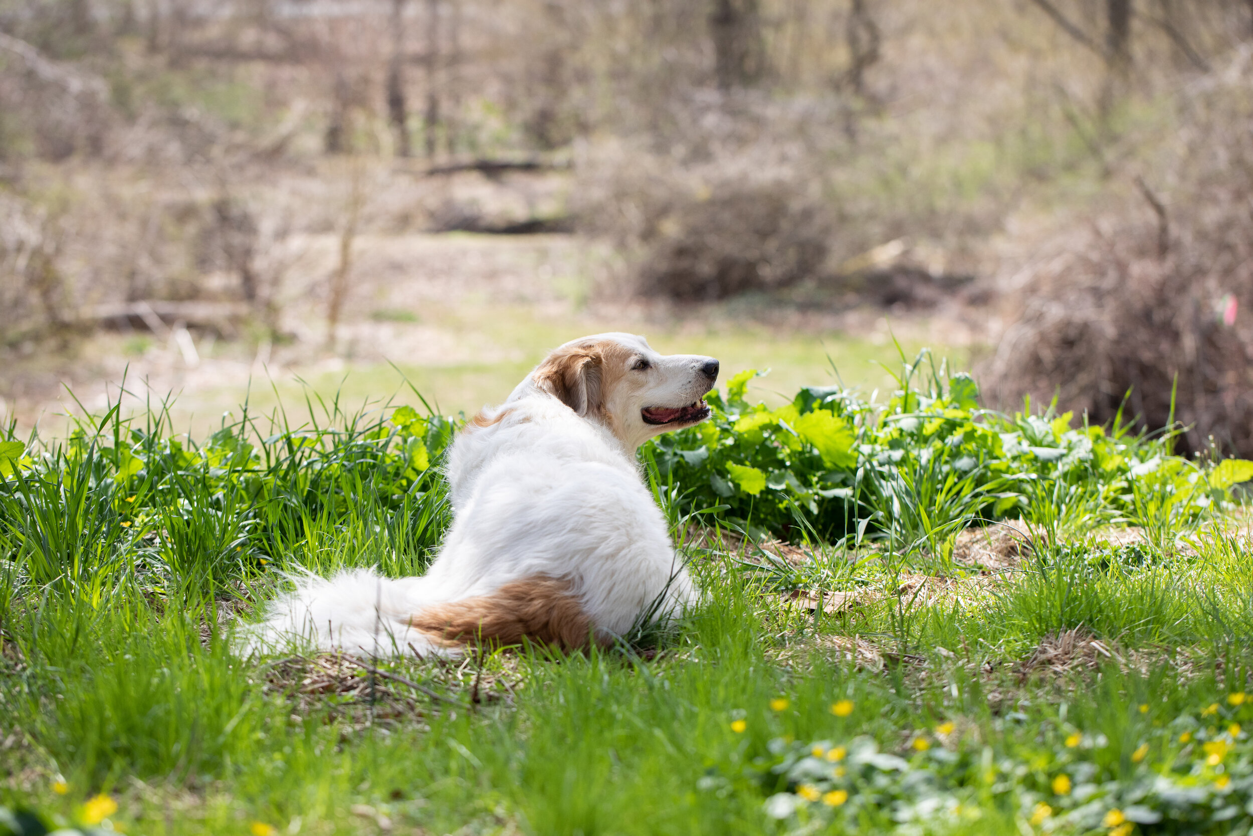 White-Feather-Farm-Farmstead-Photo-Gallery-048.jpg