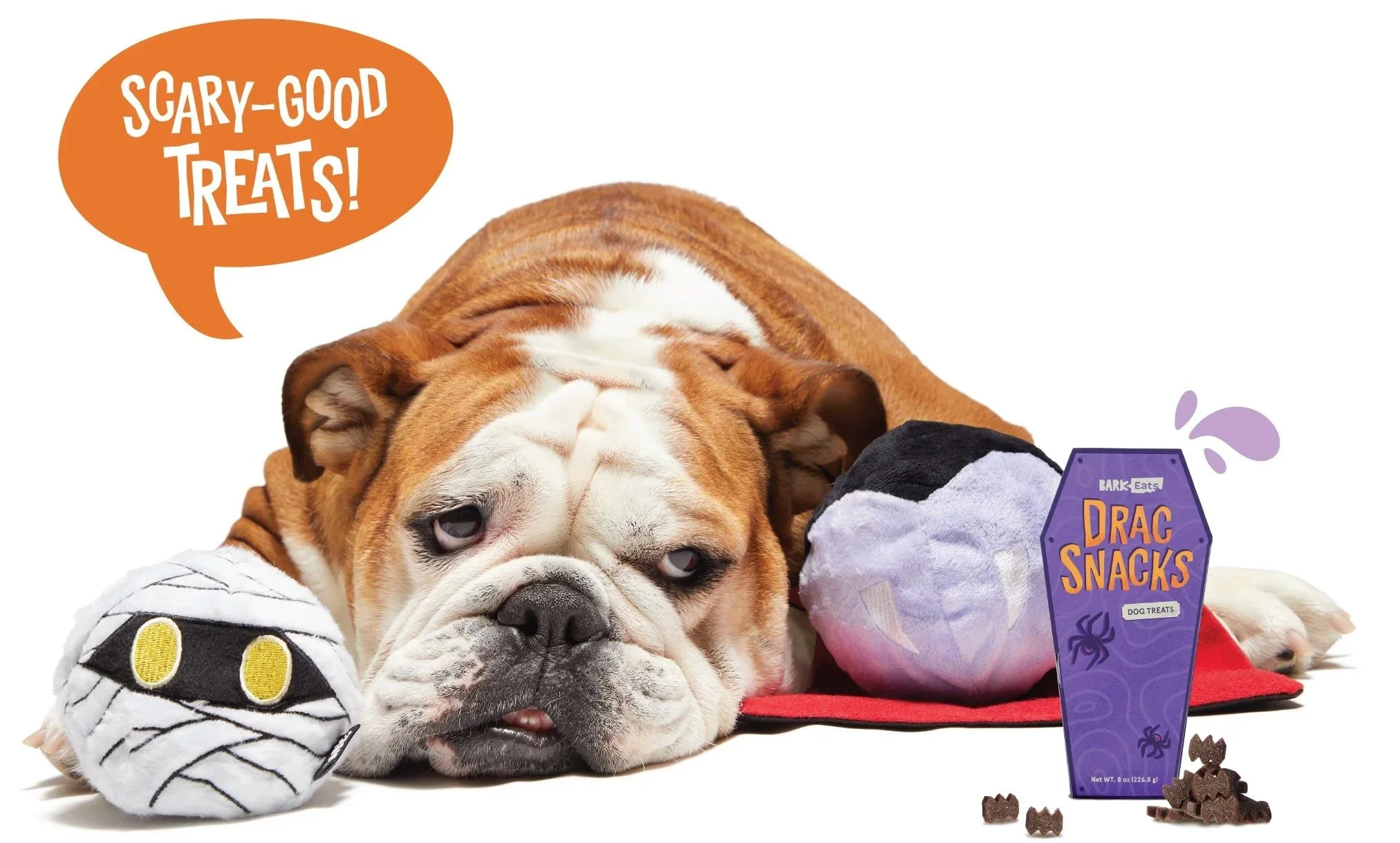 mischiefmutts_mockup_treat+box.jpg