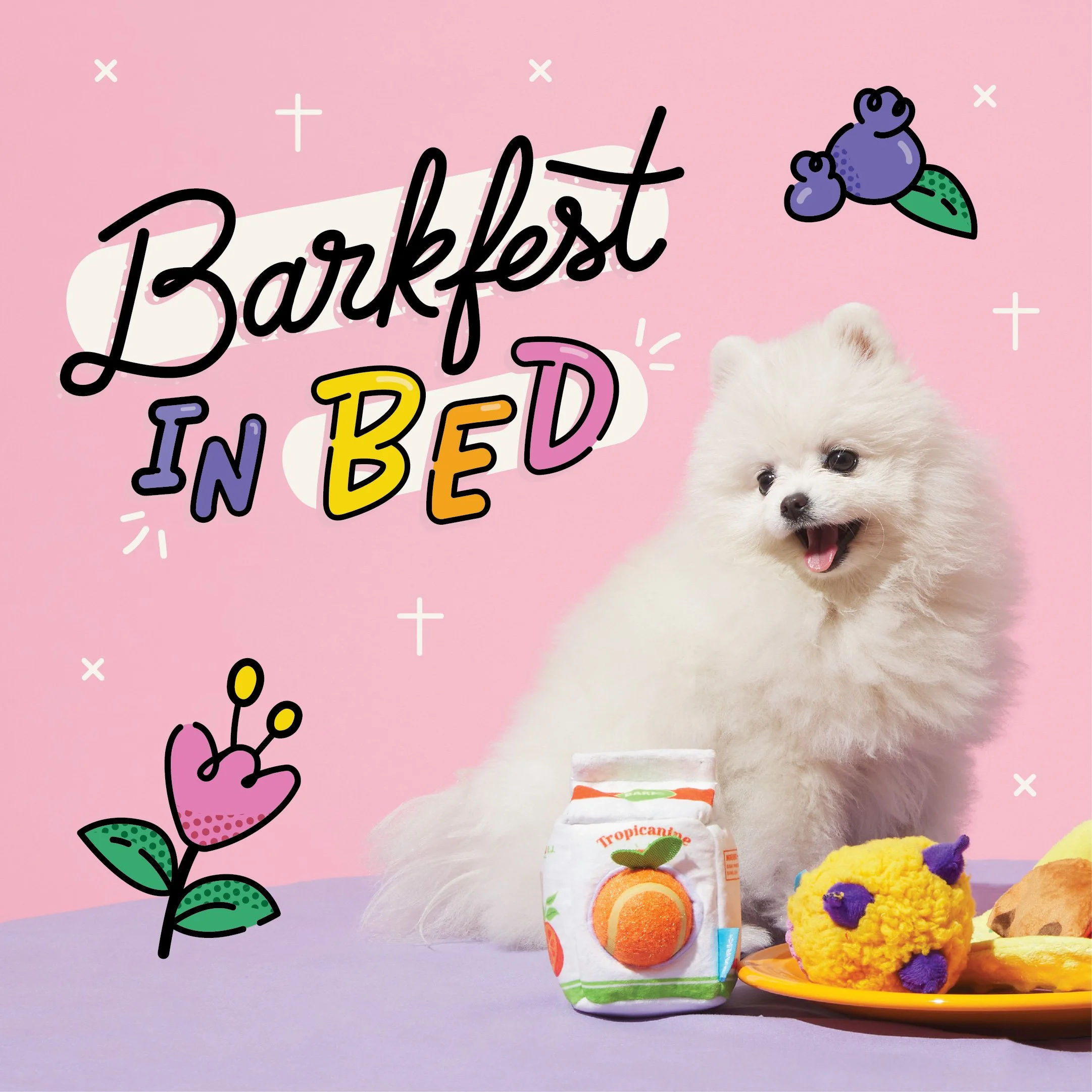 Barkfest in Bed
