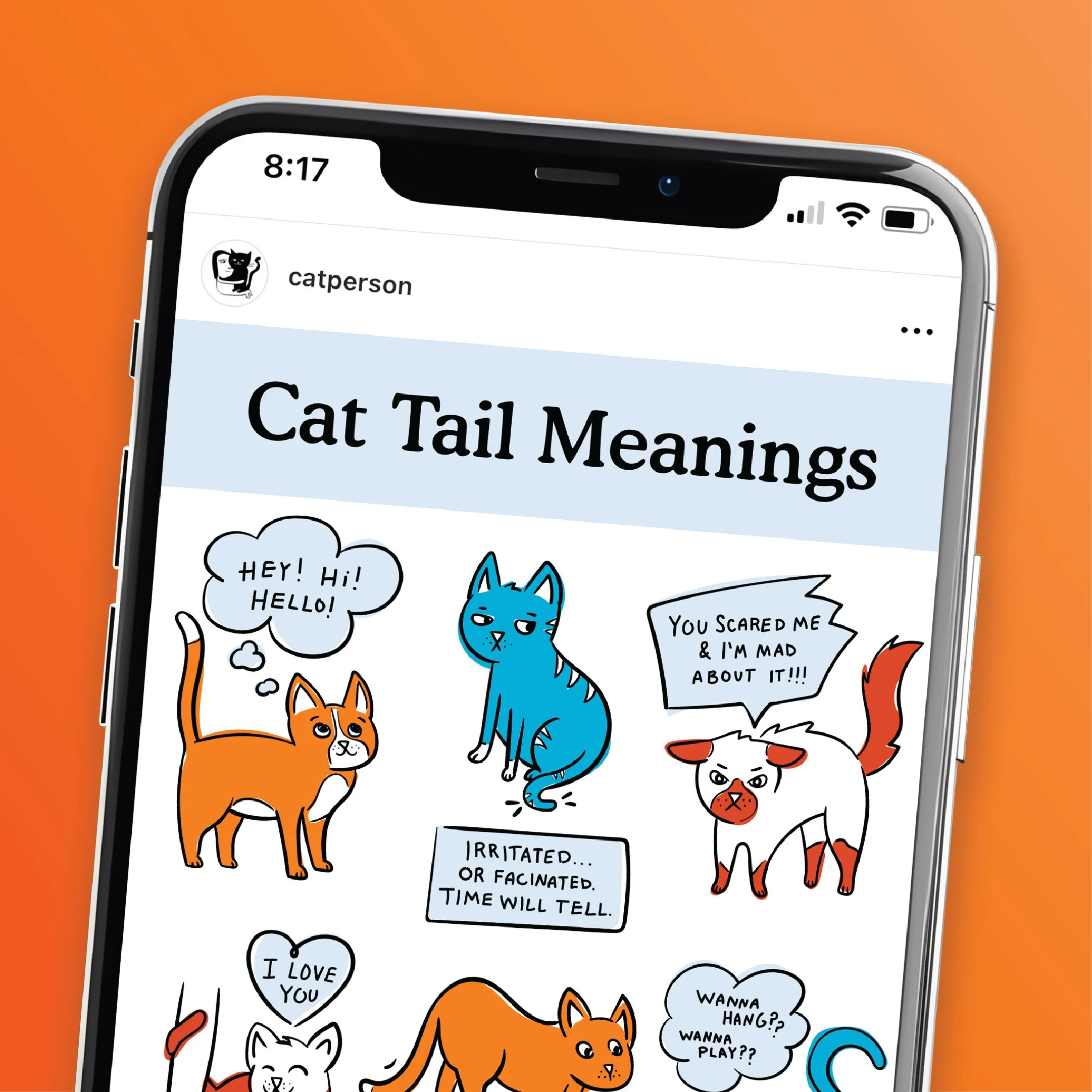 Cat Person