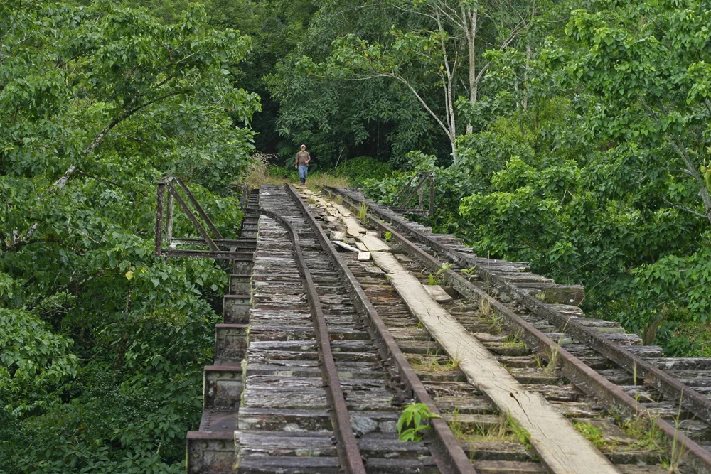 09_DS_Jungletrek (9)small.jpg