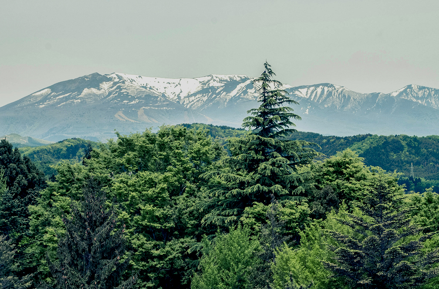 Mountain-2.jpg