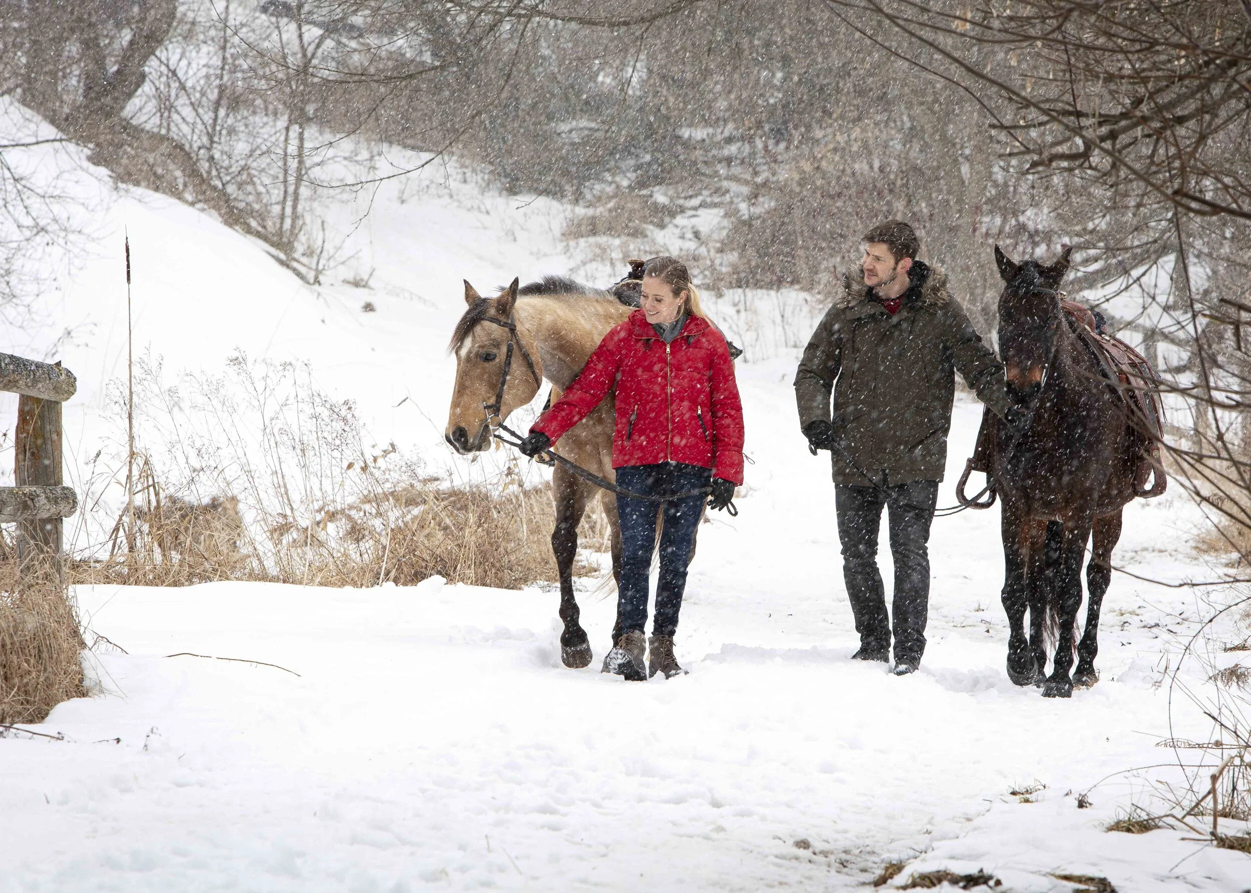 A man and woman walk with two horses in a snowy landscape, with snow falling around them.