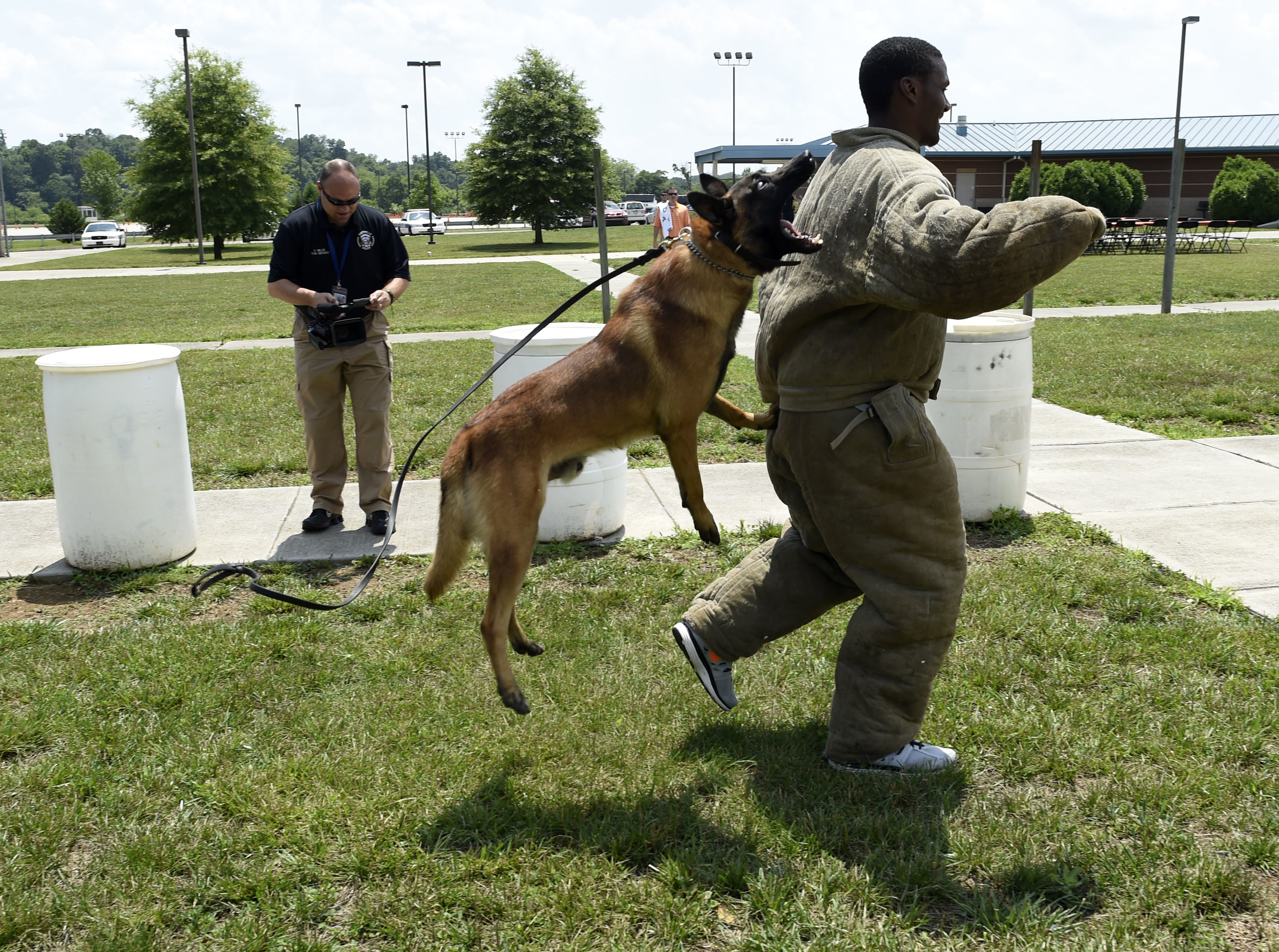 University of Tennessee football player RaShaan Gaulden is stopped by a Knoxville Police Department K-9 dog during a training exercise at the Phil E. Keith Training Center, Friday, June 20, 2014. Players were able to spend the afternoon experiencing aspects of an officers job.