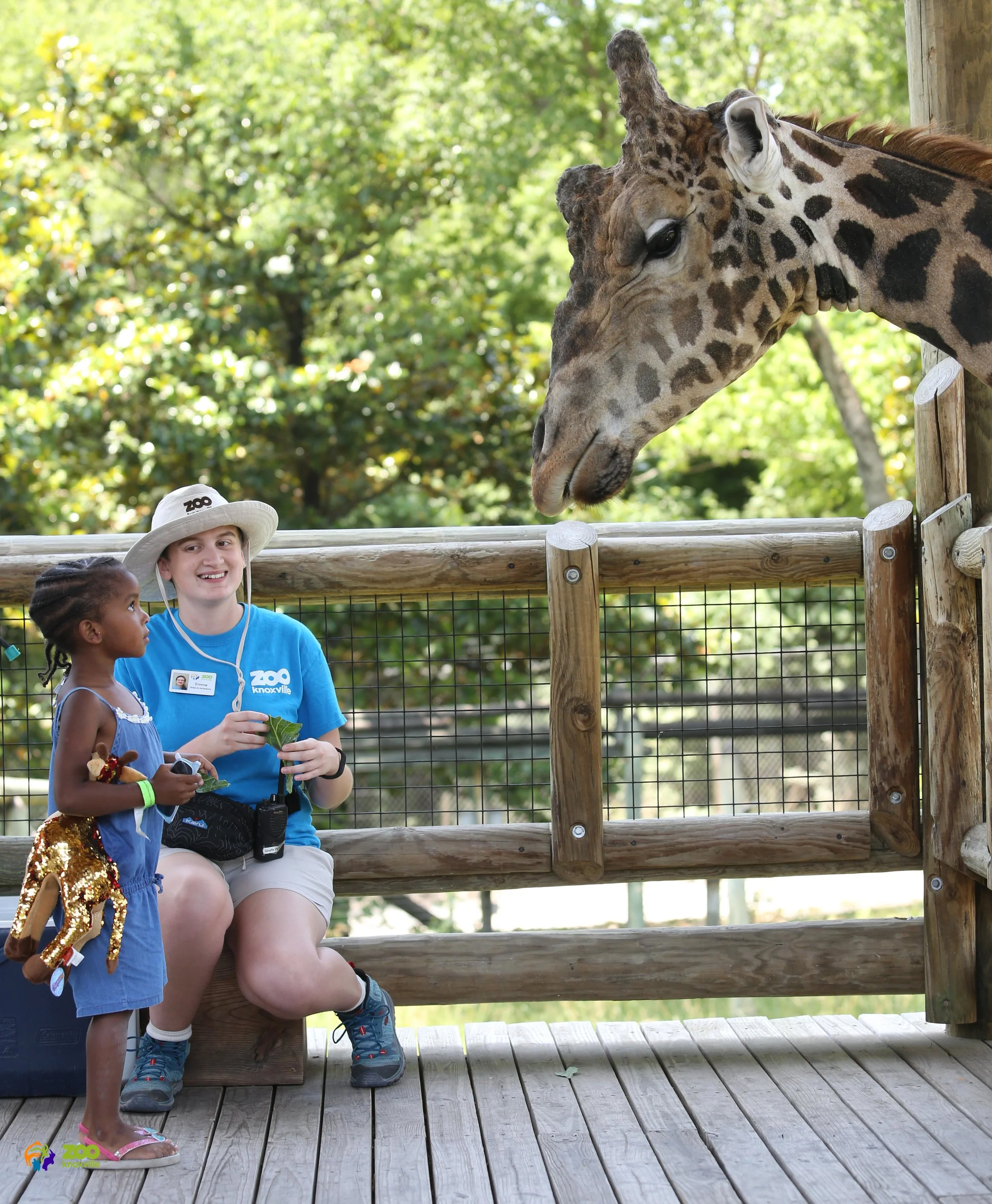 A young guest is introduced to male giraffe Jumbe at Zoo Knoxville at the feeding platform.