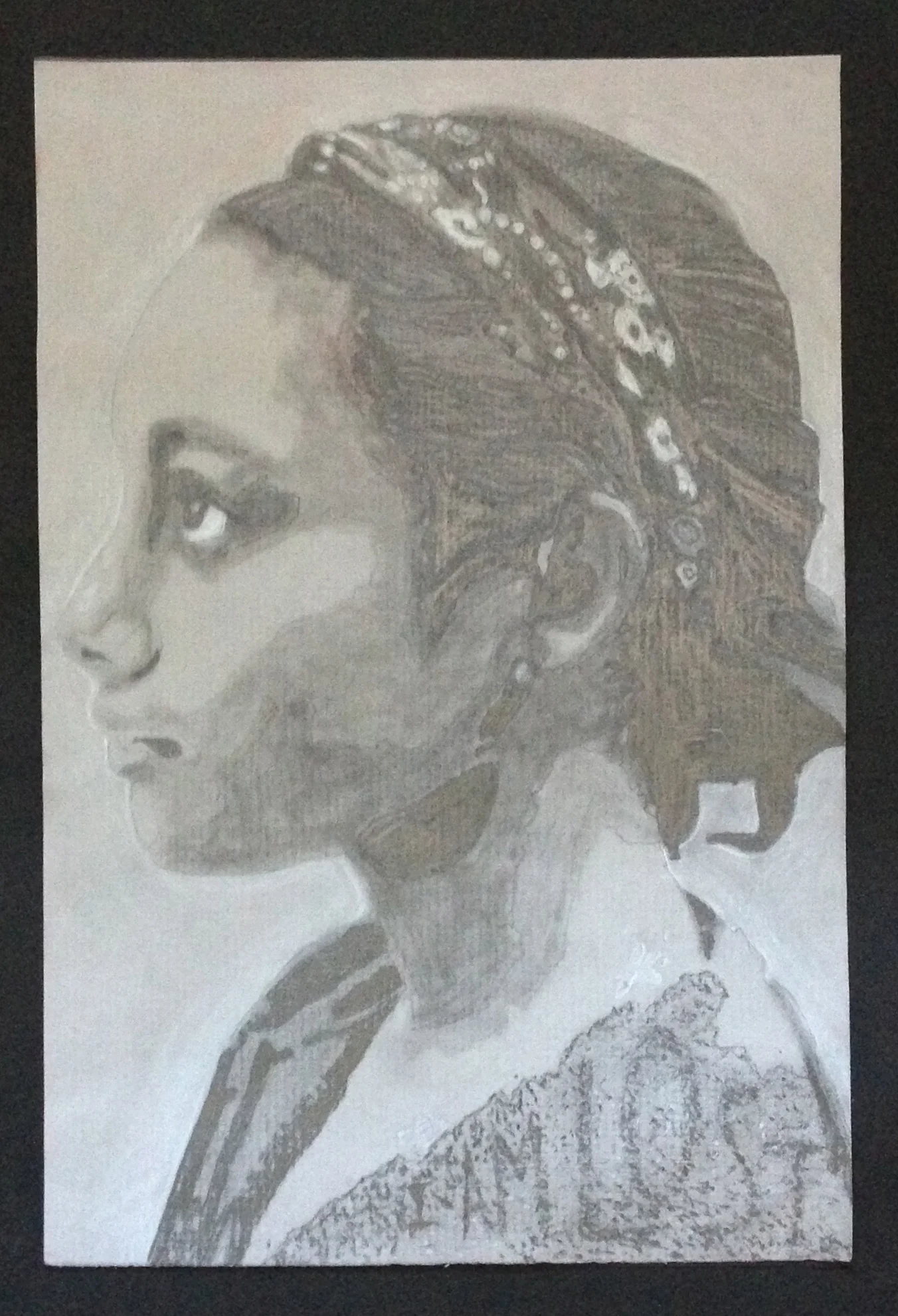 AG-Grade 8 Posterized Poetry Self-Portrait