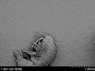 Source: /r/biology