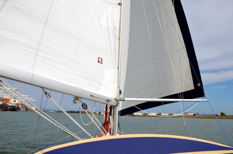 The whisker pole supporting the jib as we sail wing on wing down the estuary.