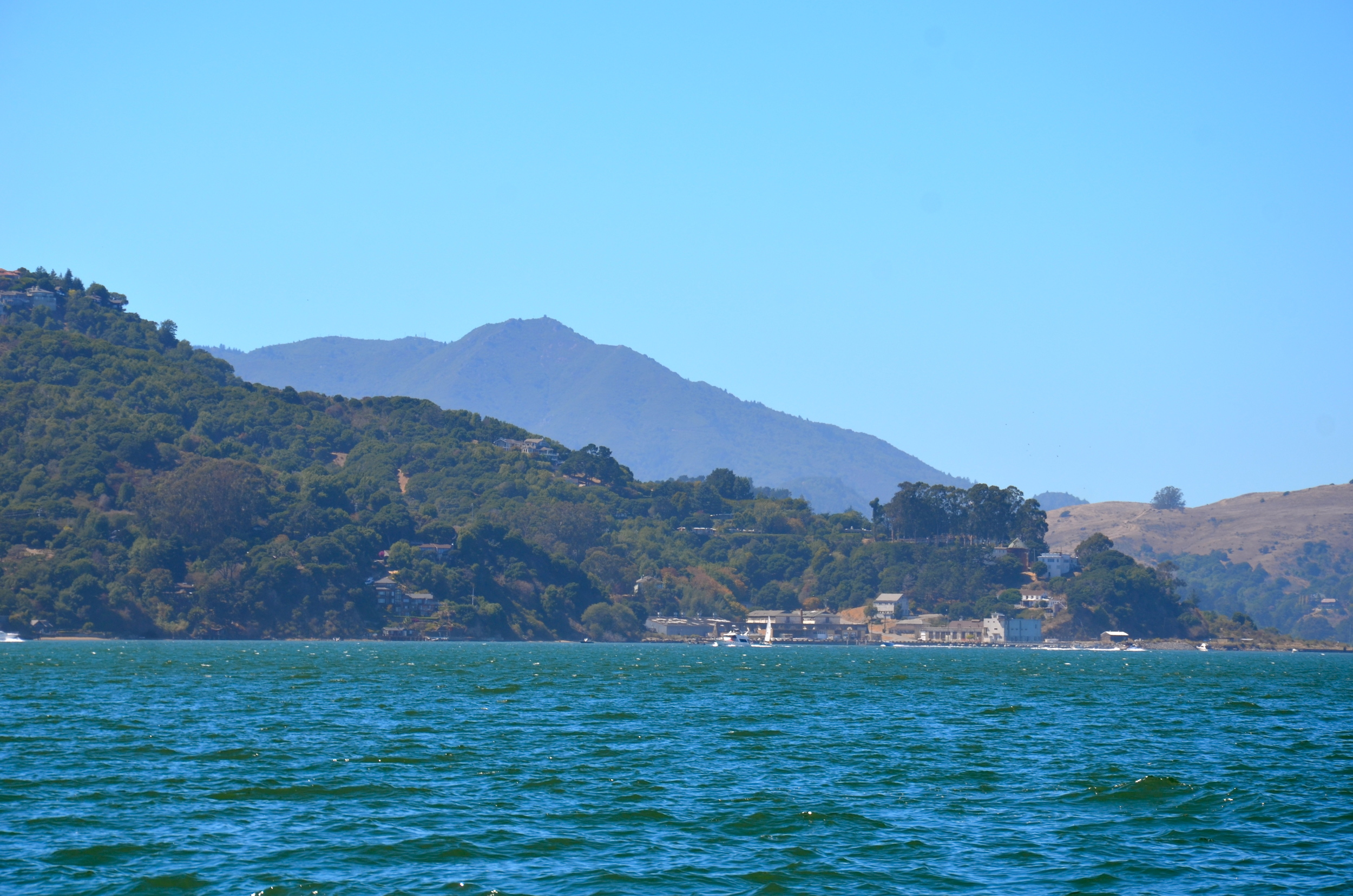 Even the lovely Mt. Tamalpais came out to play.