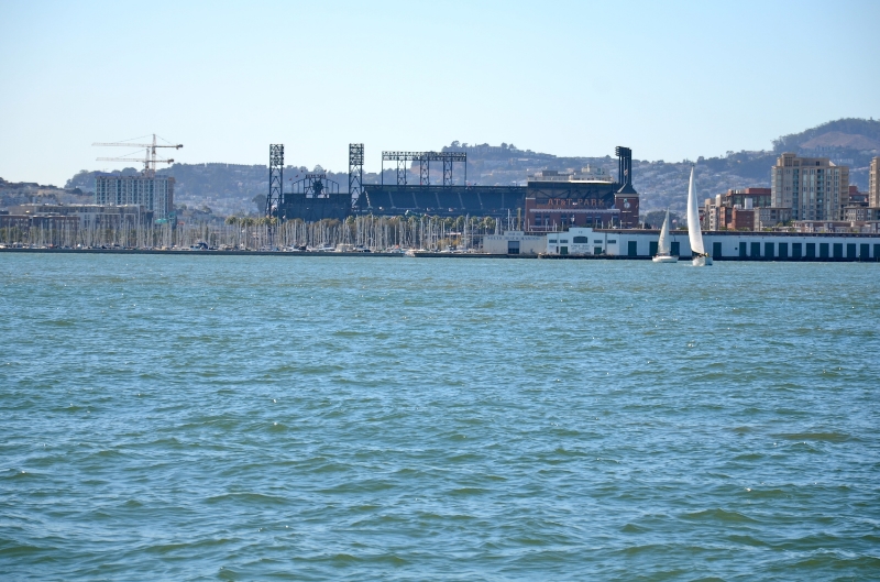 Go Giants!