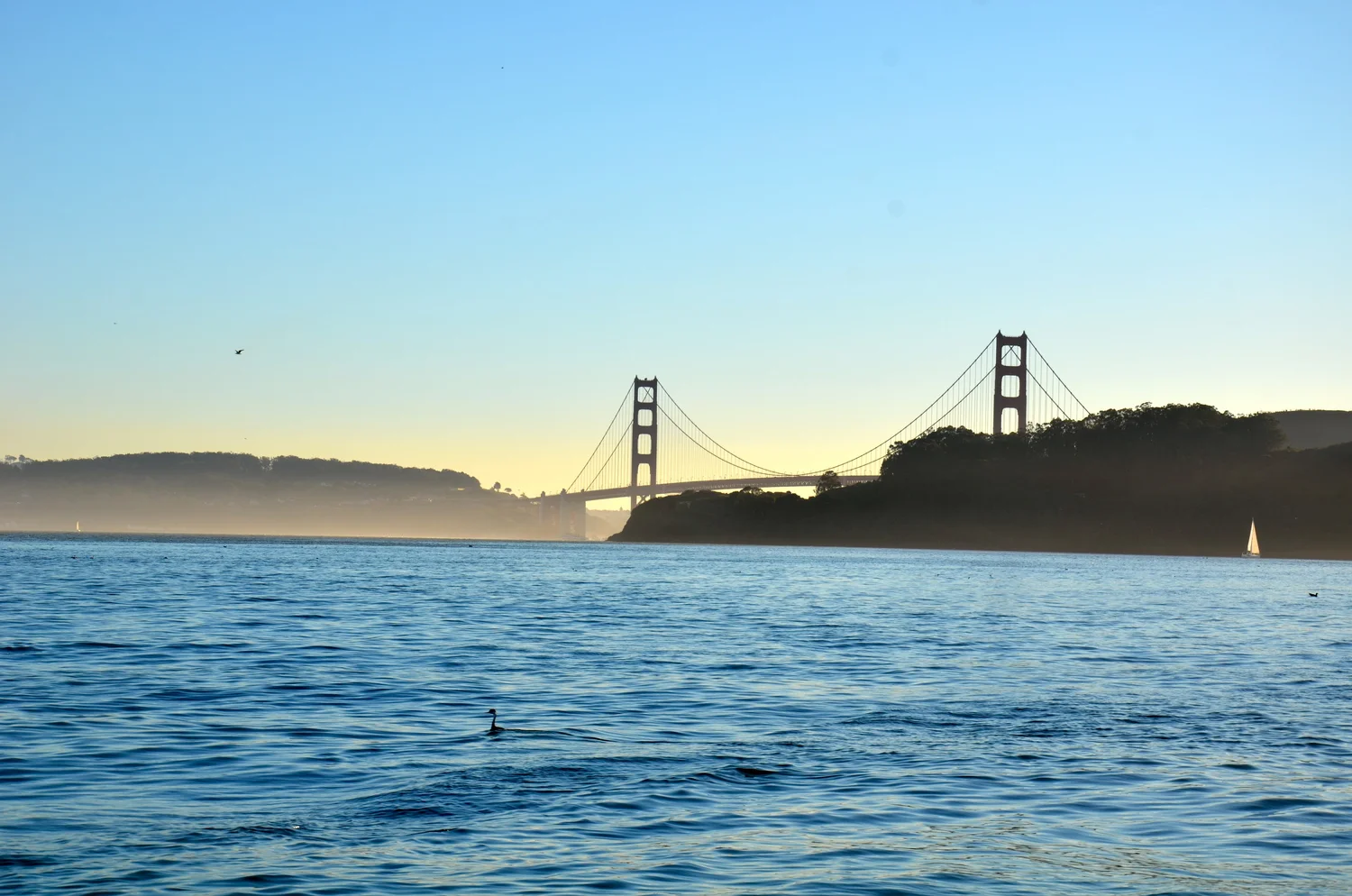 At Anchor in Richardson's Bay