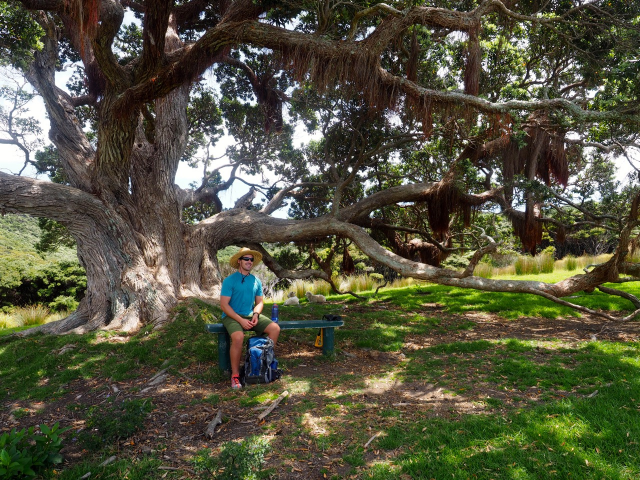 D under tree.jpg