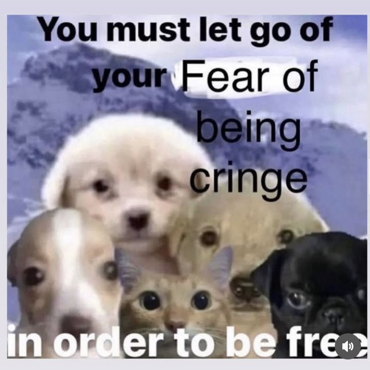 IMG_7794 2.PNG