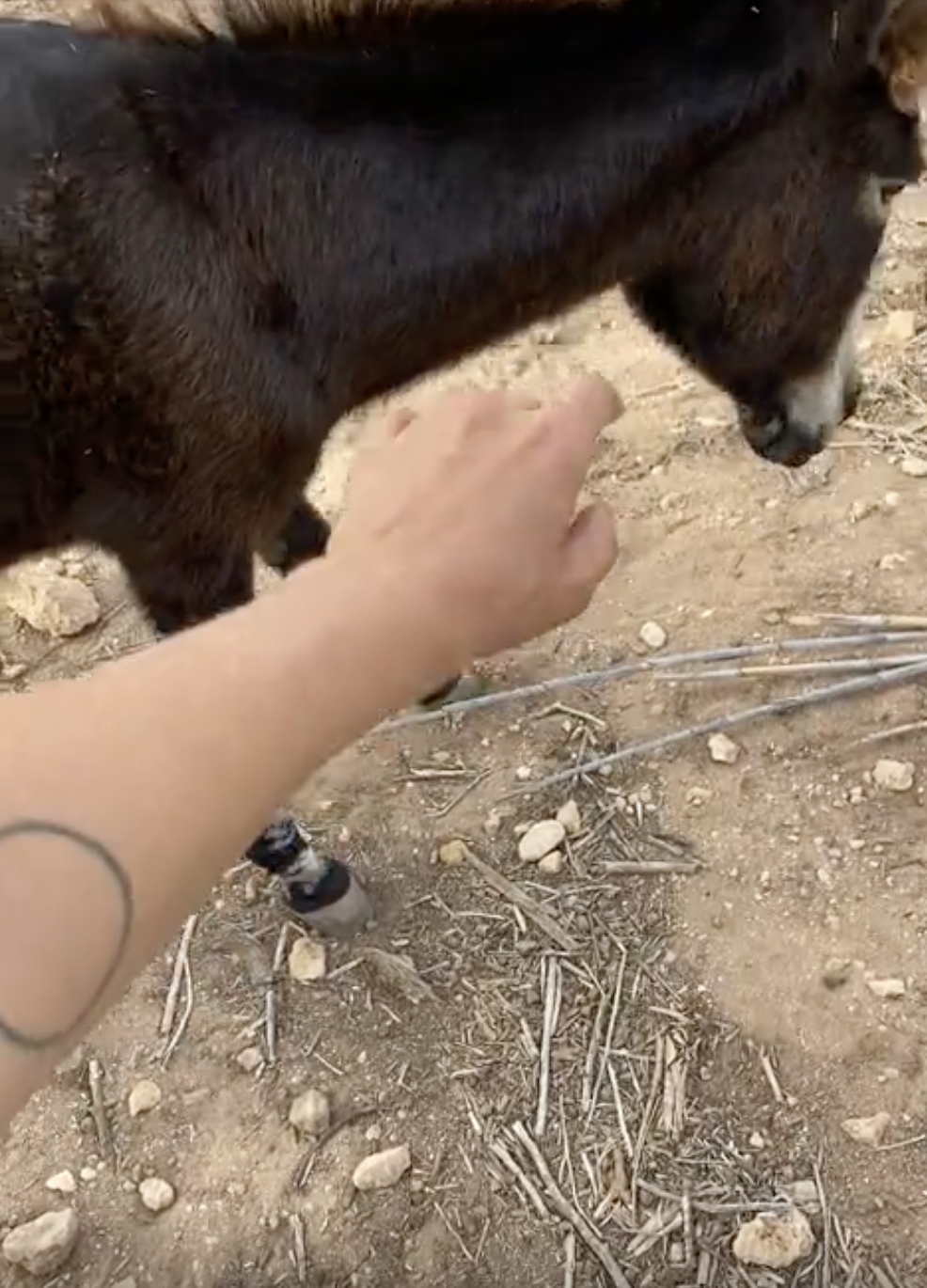 🌬Having a Hard Time Letting Things Go?