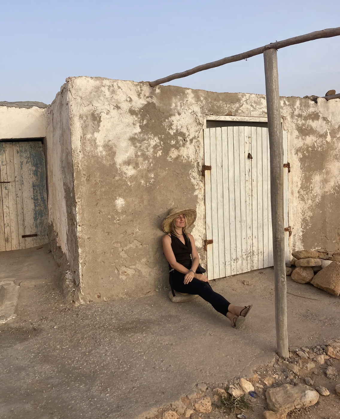 🦟This Is Life (Yes, Even the Mosquitos)