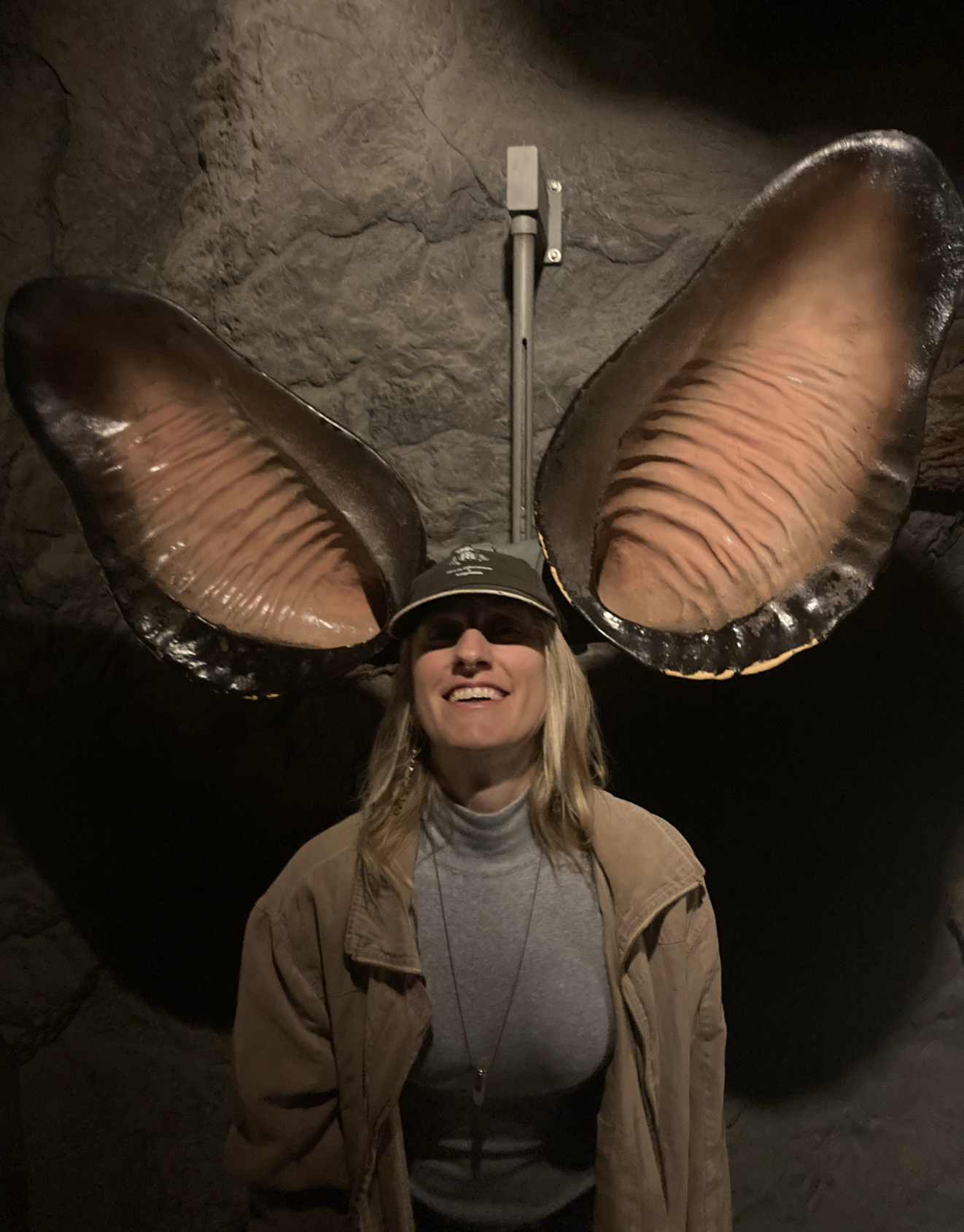 👓🌹Need to Borrow My Rose-Tinted Glasses?